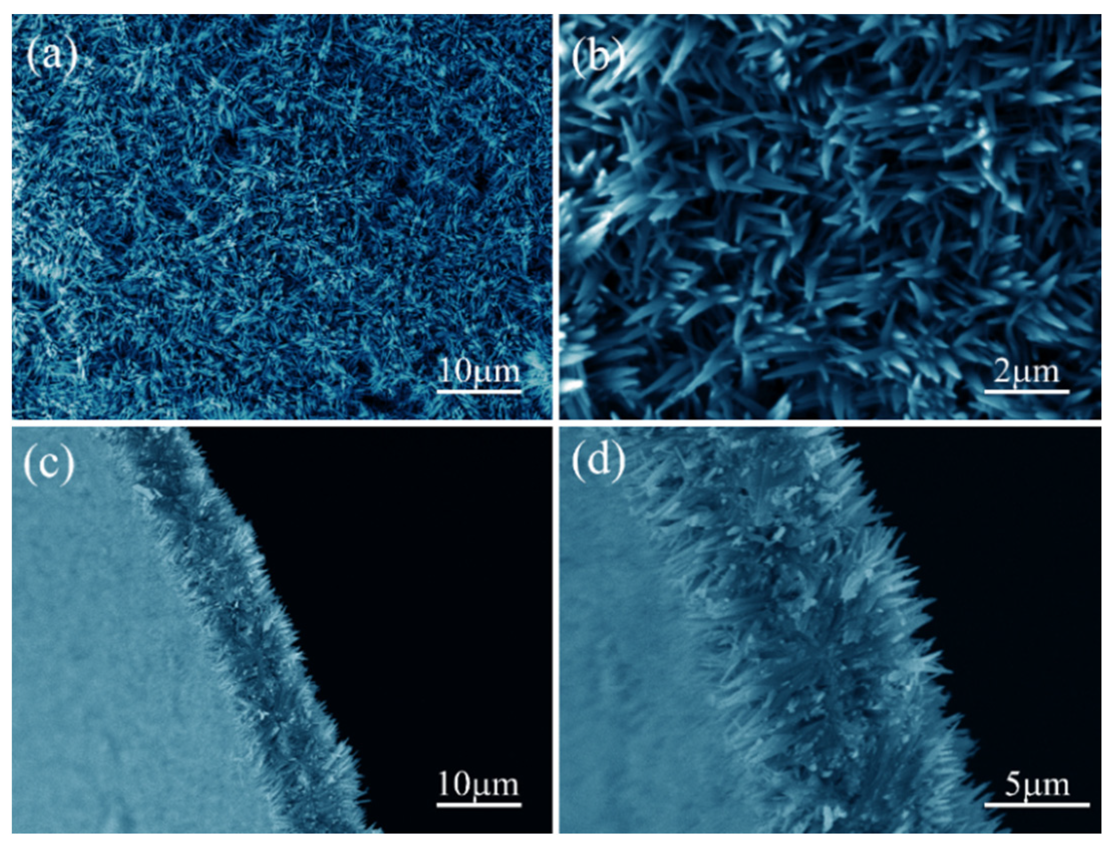 Coatings 10 00409 g001