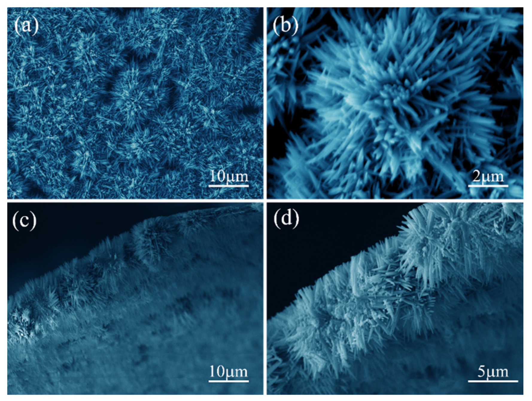 Coatings 10 00409 g002