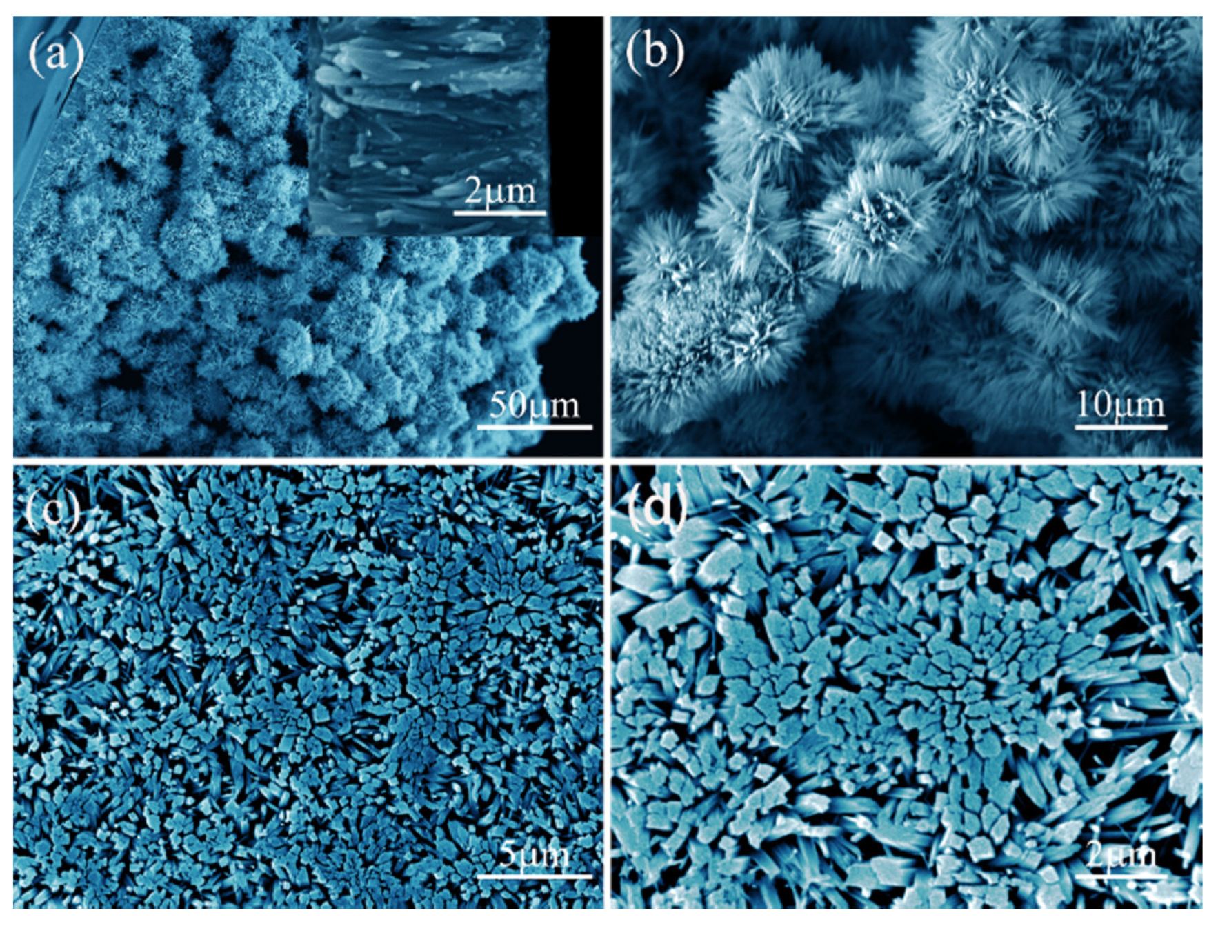 Coatings 10 00409 g003