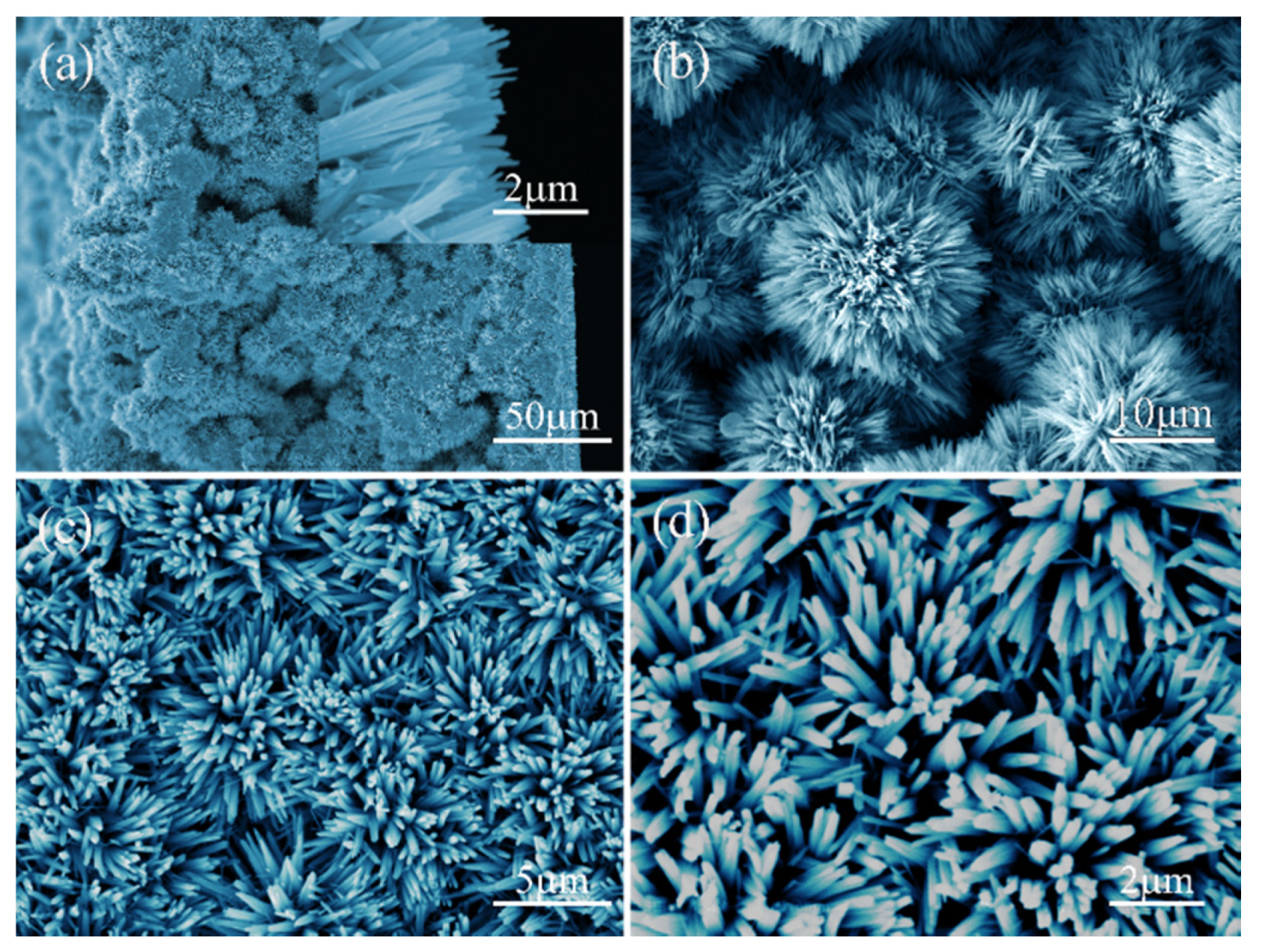 Coatings 10 00409 g004
