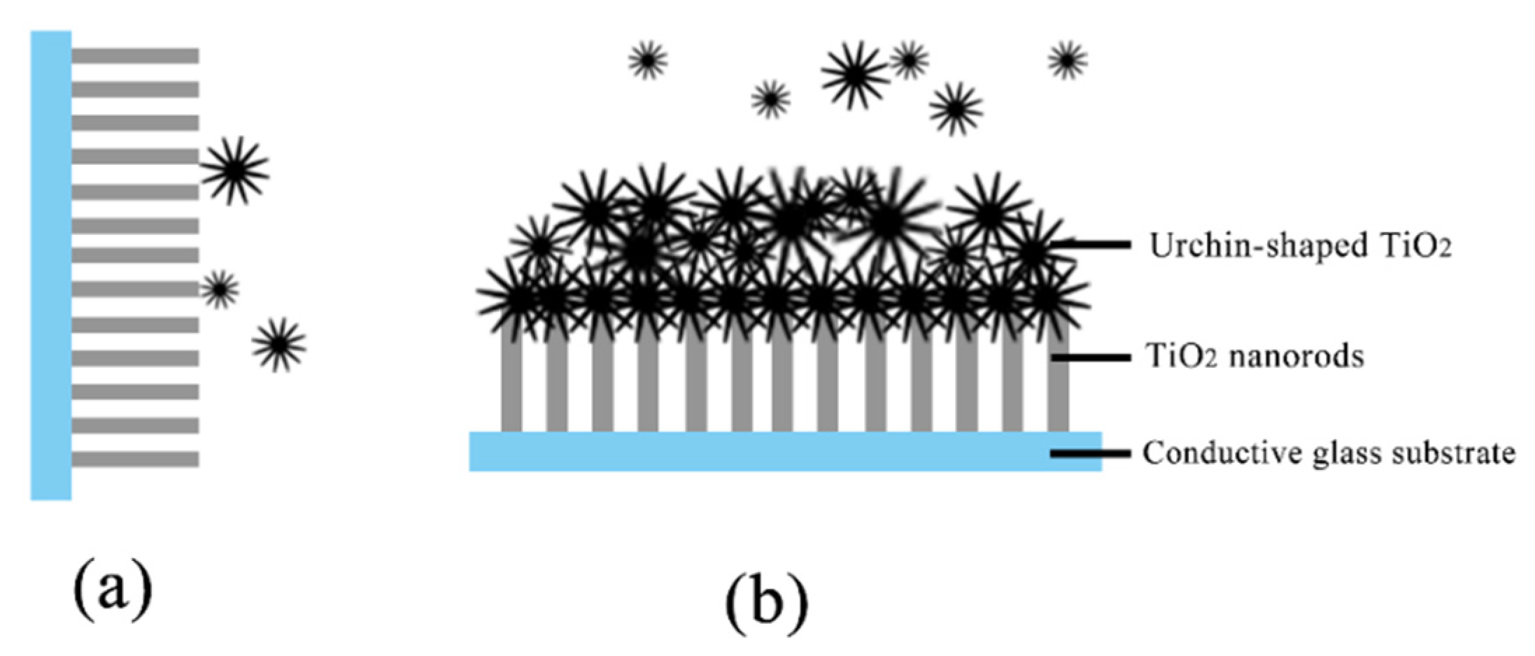 Coatings 10 00409 g005