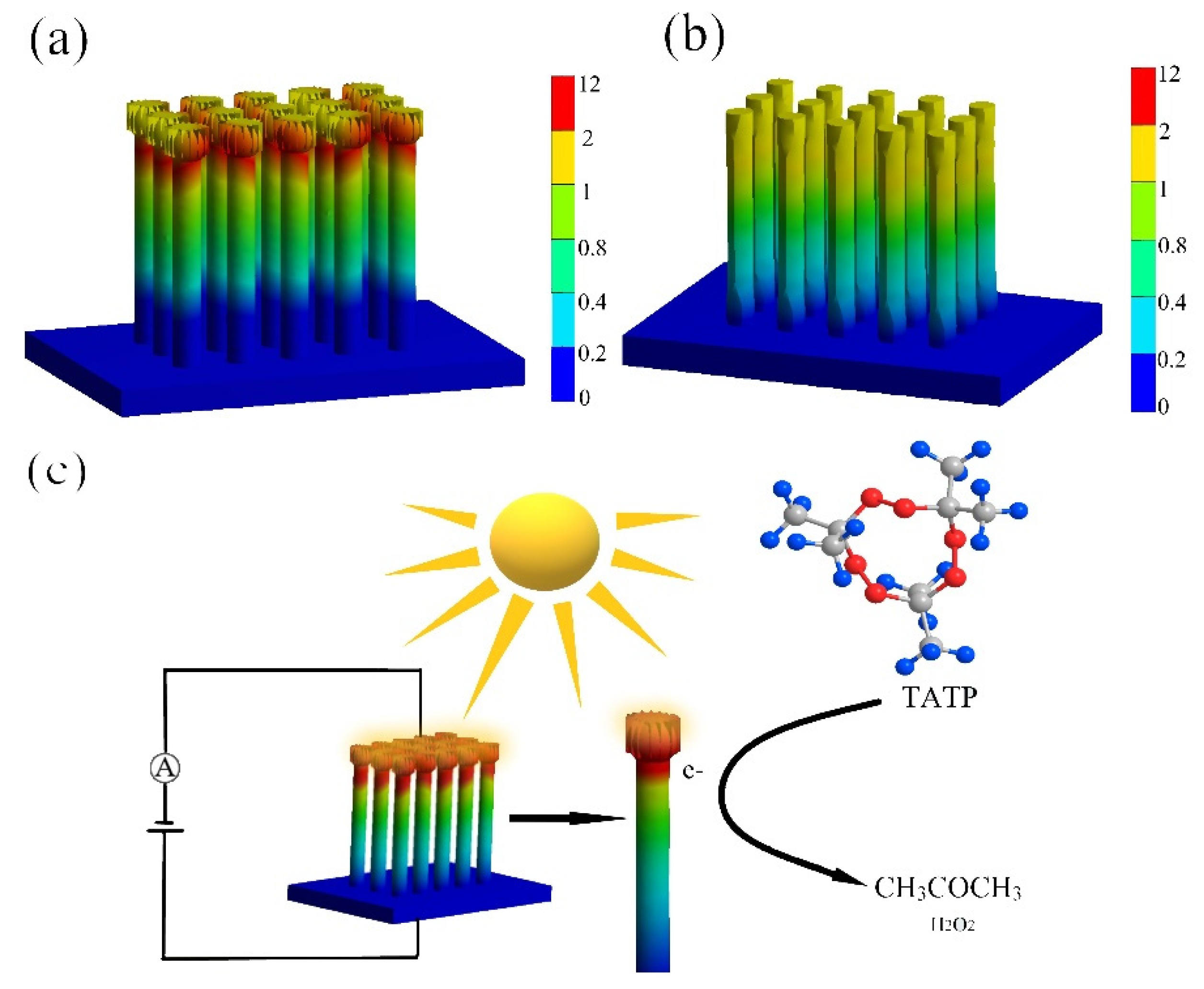 Coatings 10 00409 g011