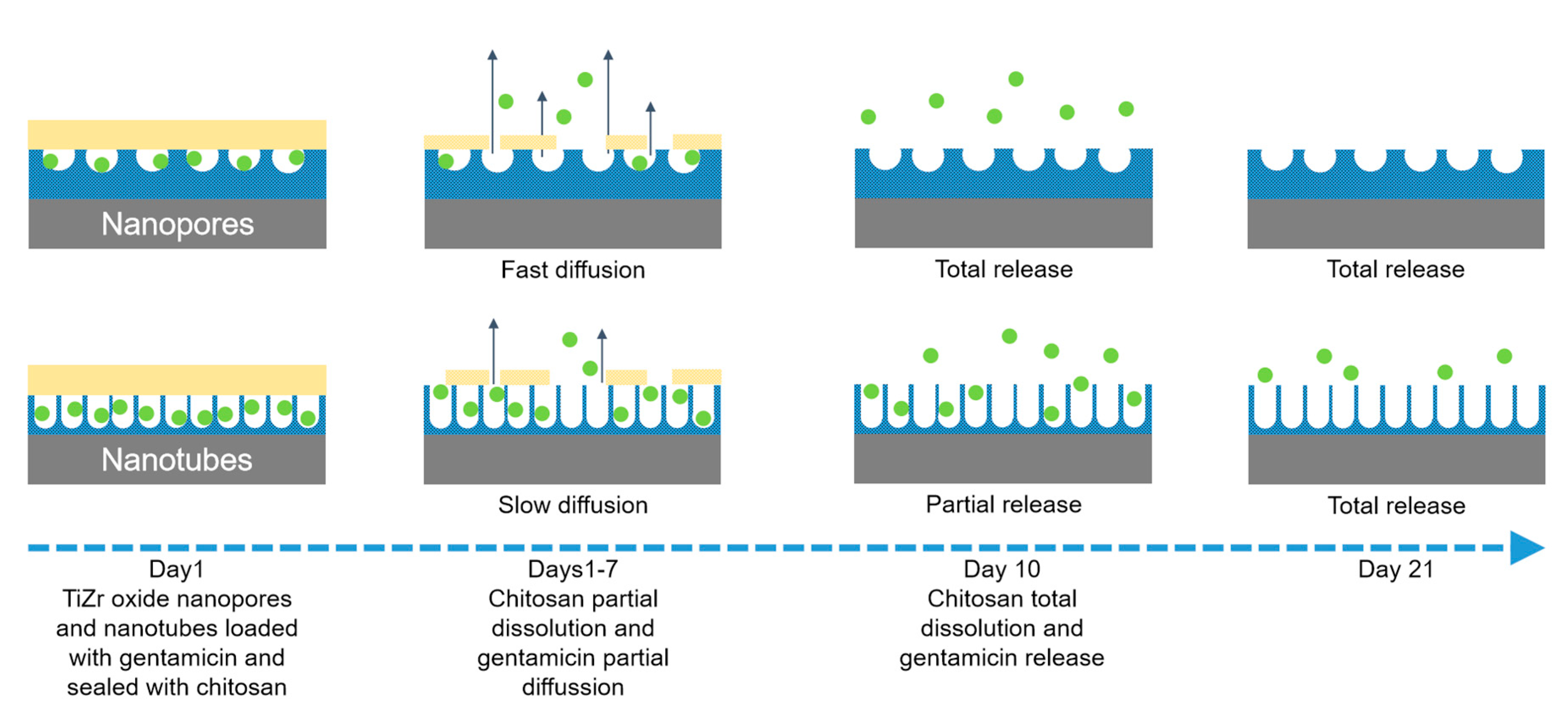 Coatings 10 00422 g004