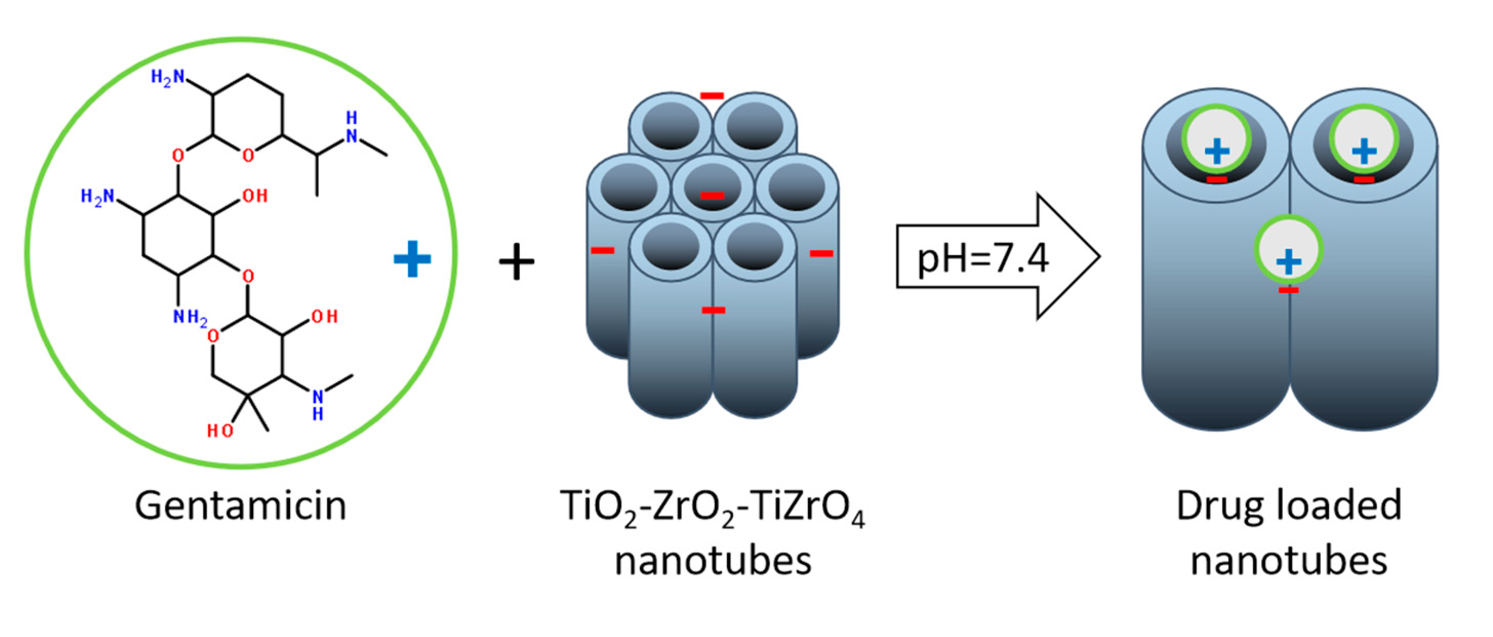Coatings 10 00422 g005