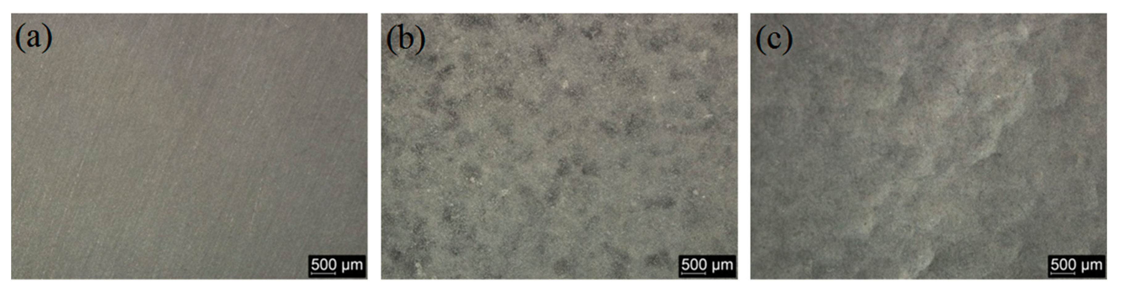 Coatings 10 00430 g005