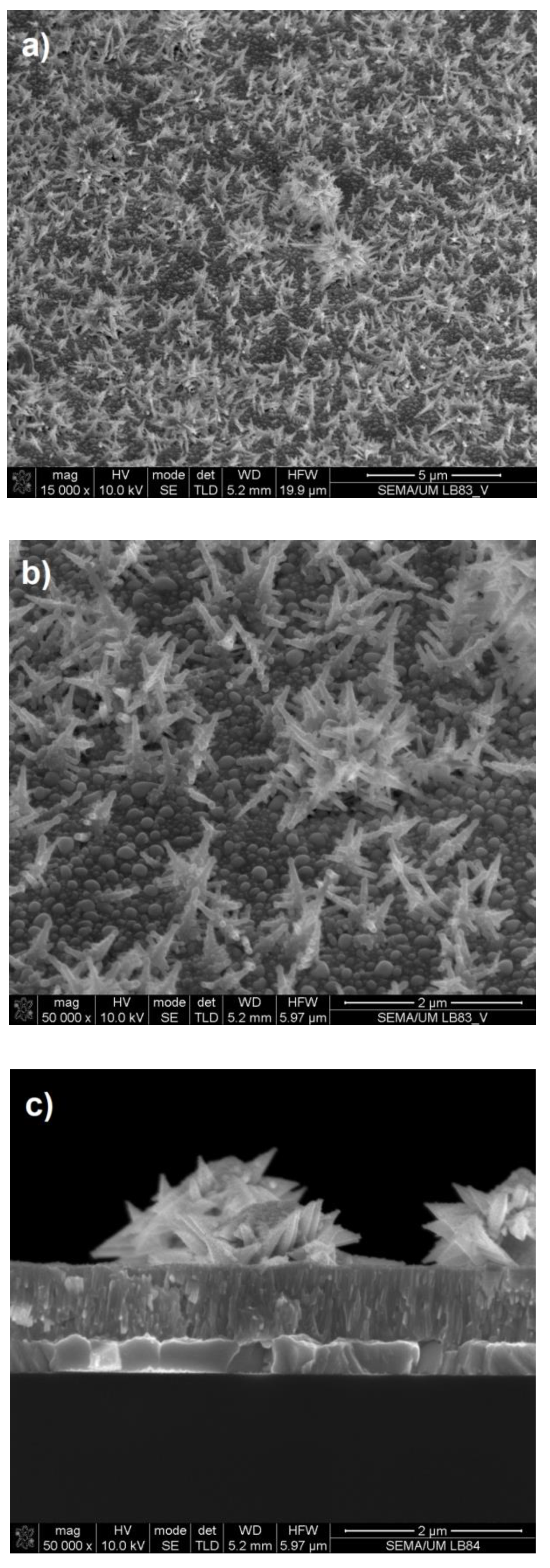 Coatings 10 00445 g002