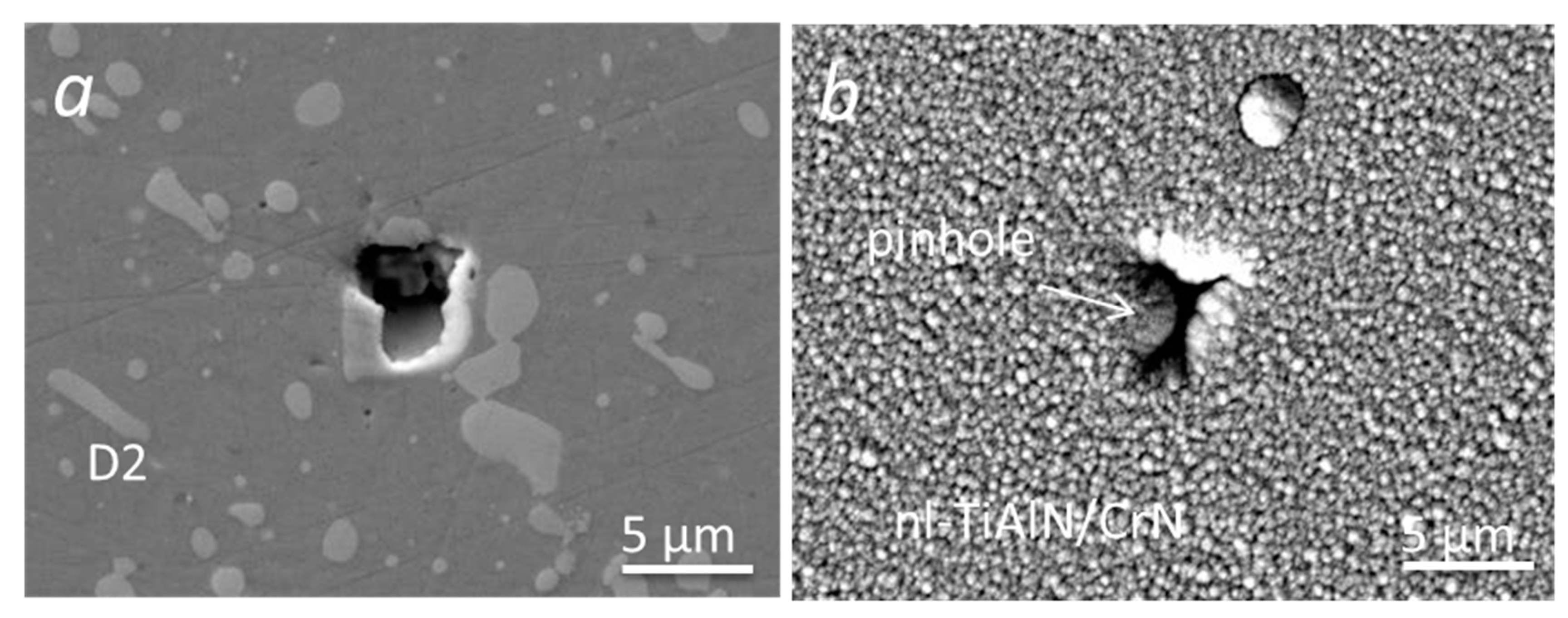 Coatings 10 00447 g004