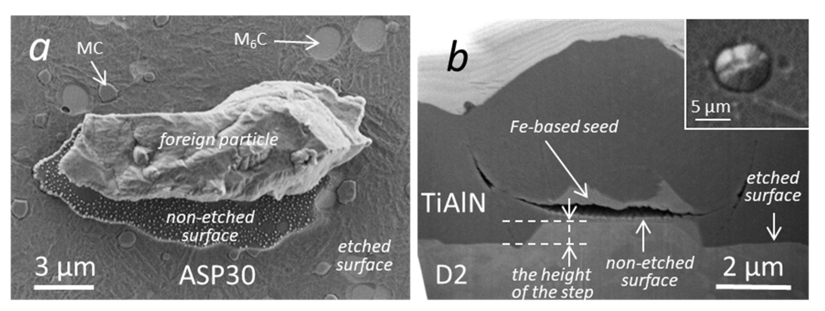 Coatings 10 00447 g007