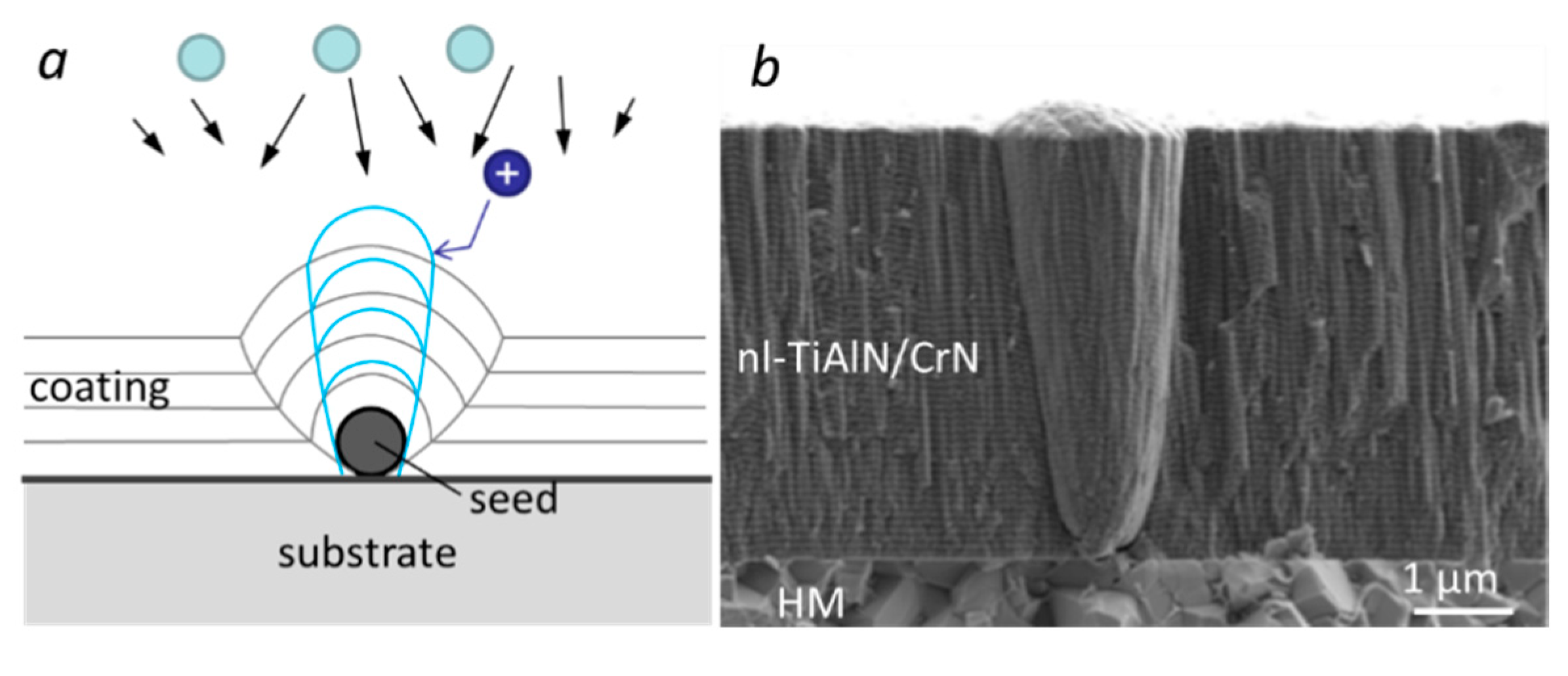 Coatings 10 00447 g010
