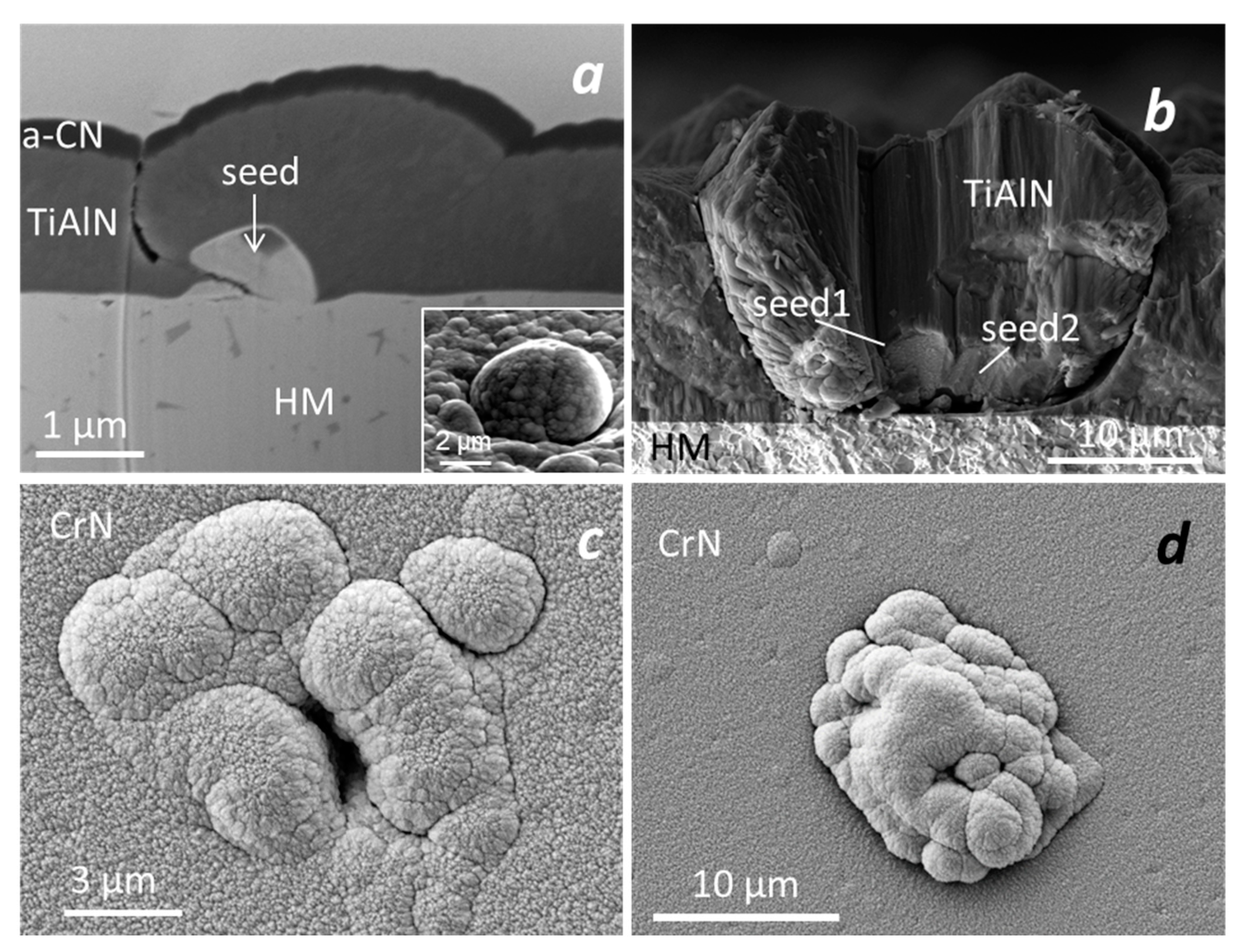 Coatings 10 00447 g011