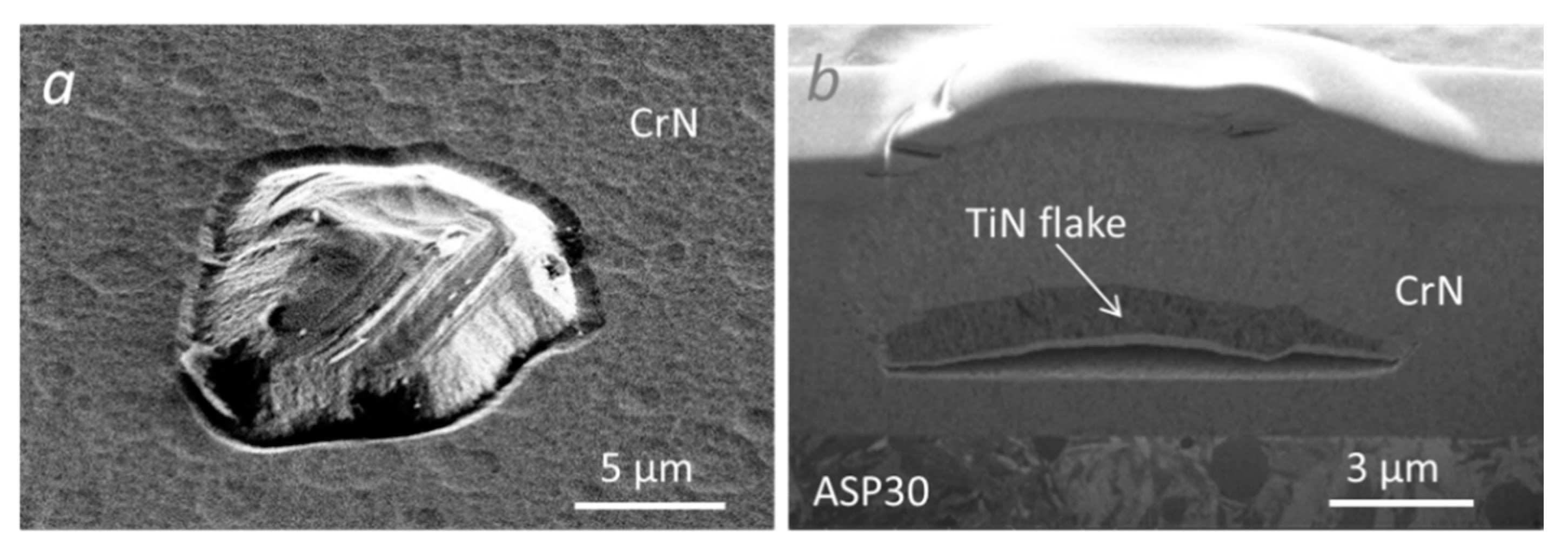 Coatings 10 00447 g014