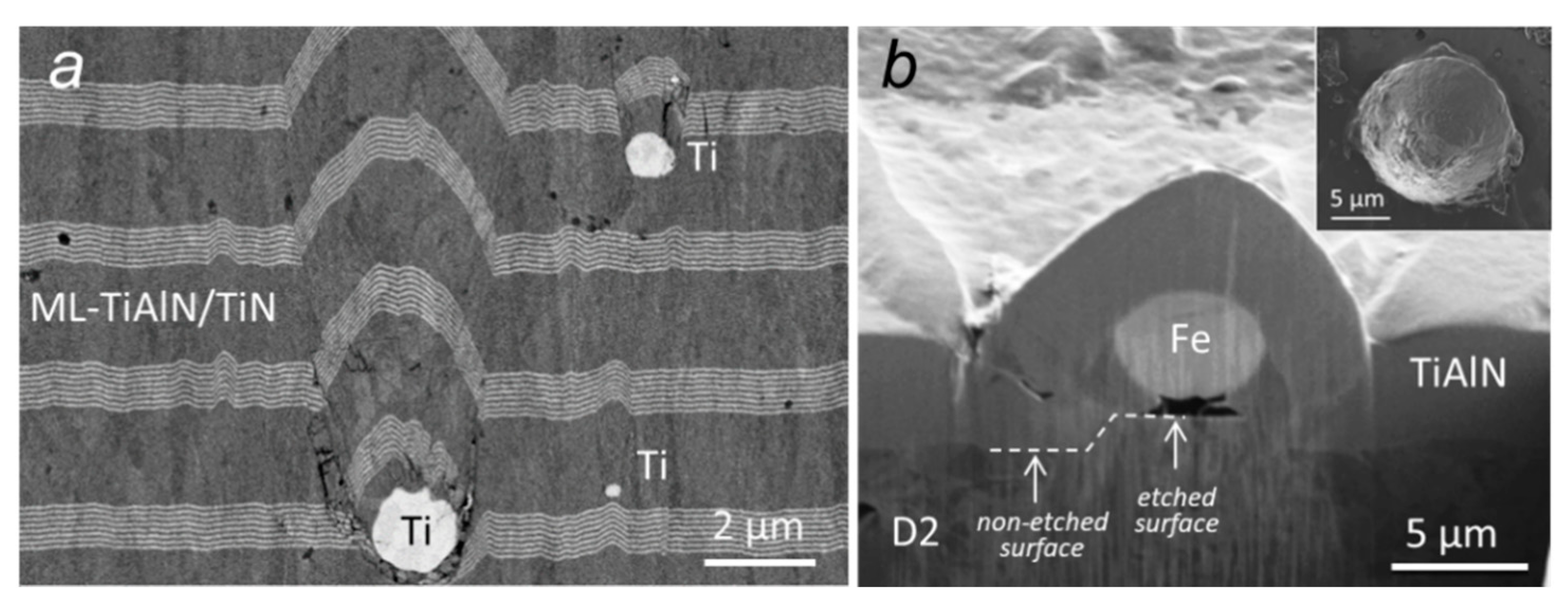 Coatings 10 00447 g015
