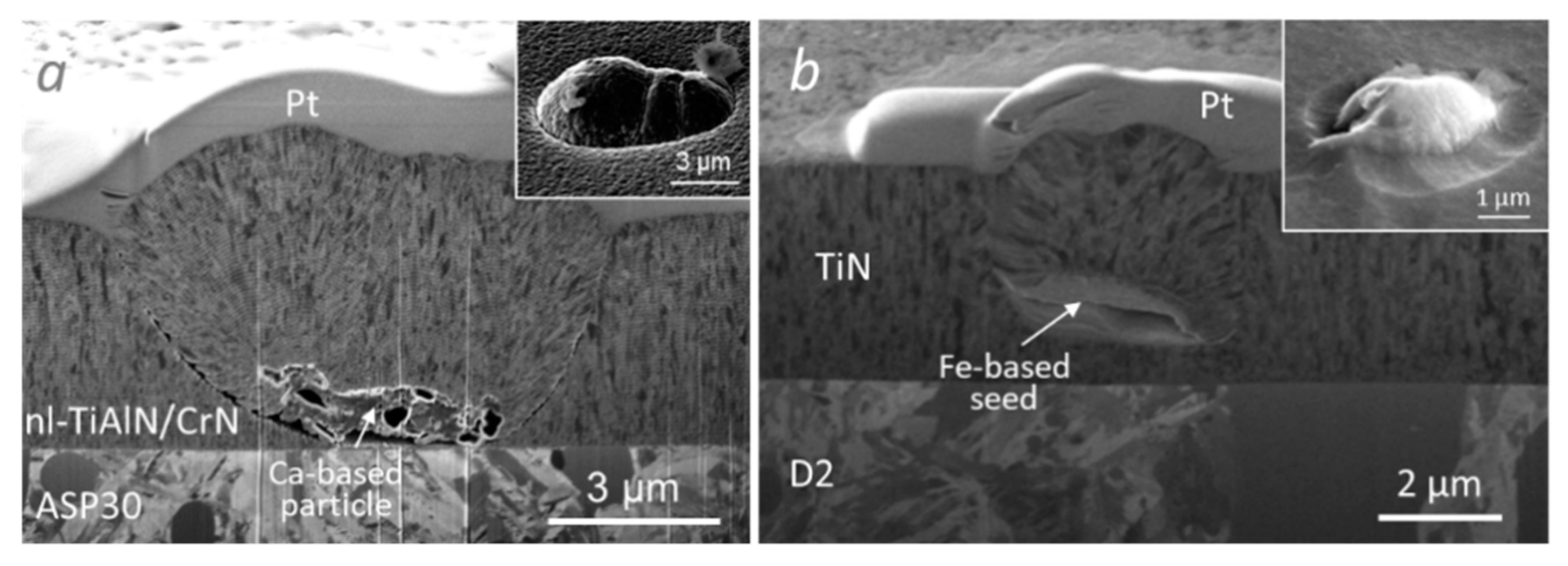 Coatings 10 00447 g019