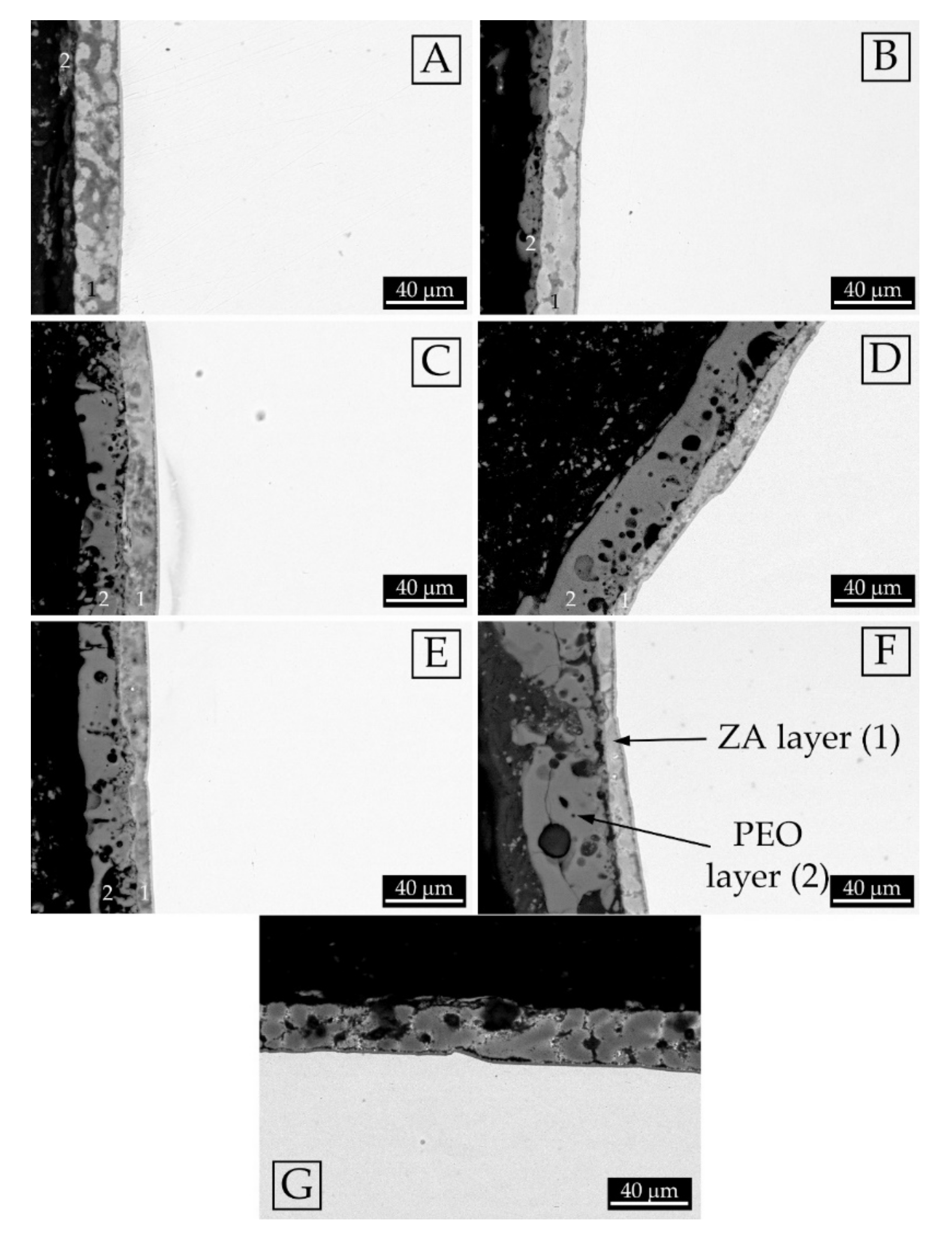 Coatings 10 00448 g002