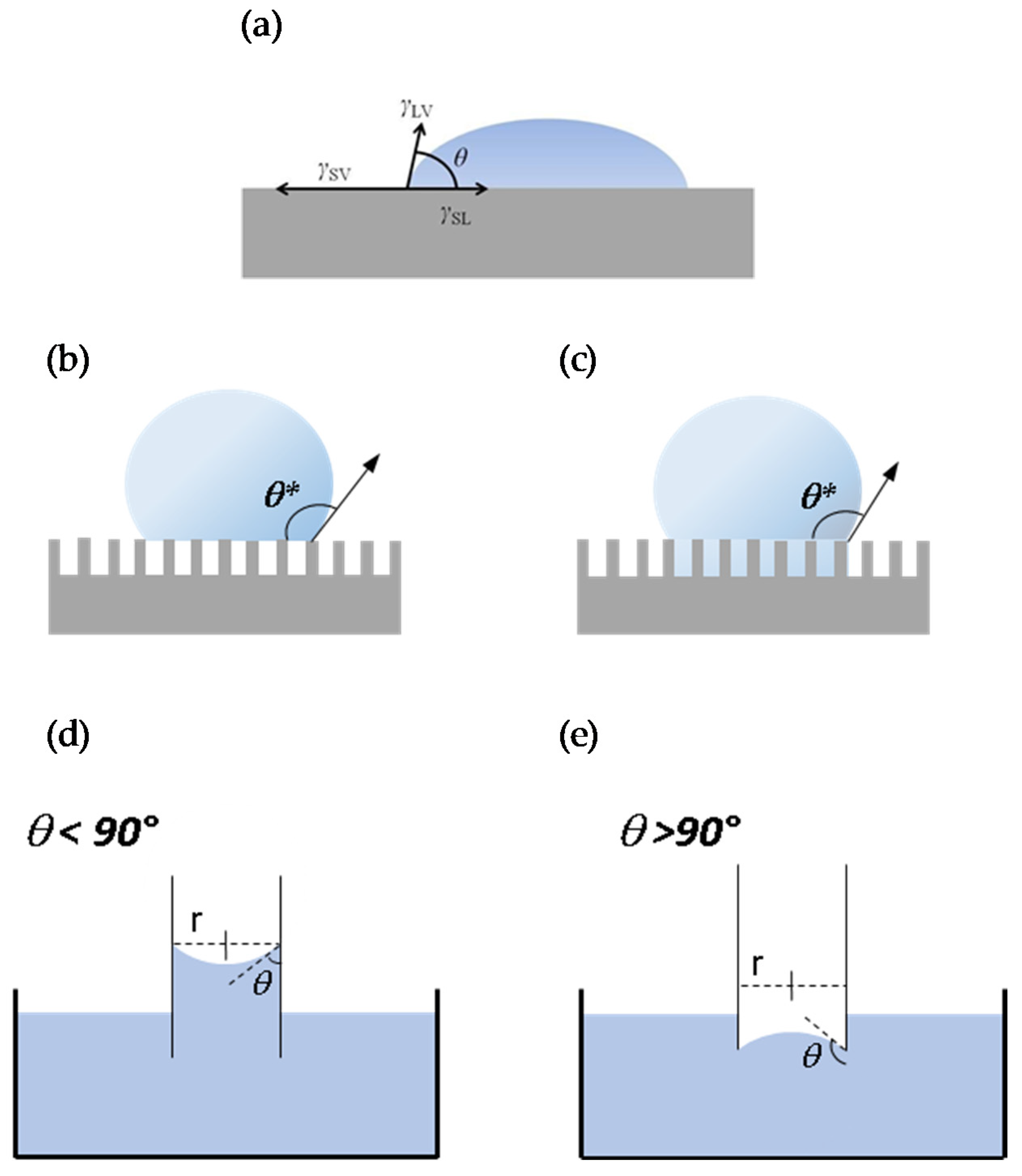 Coatings 10 00449 g002