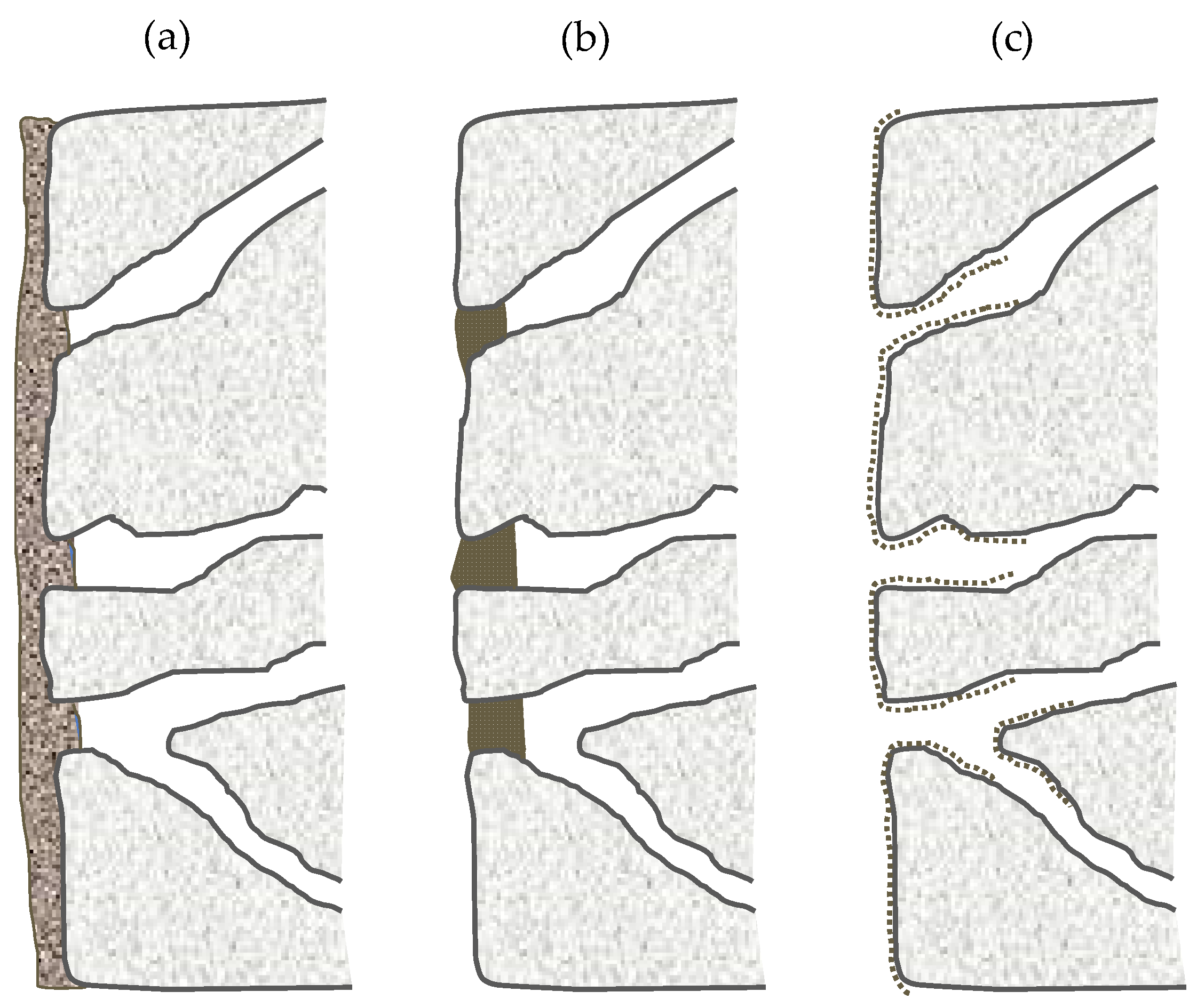 Coatings 10 00449 g003