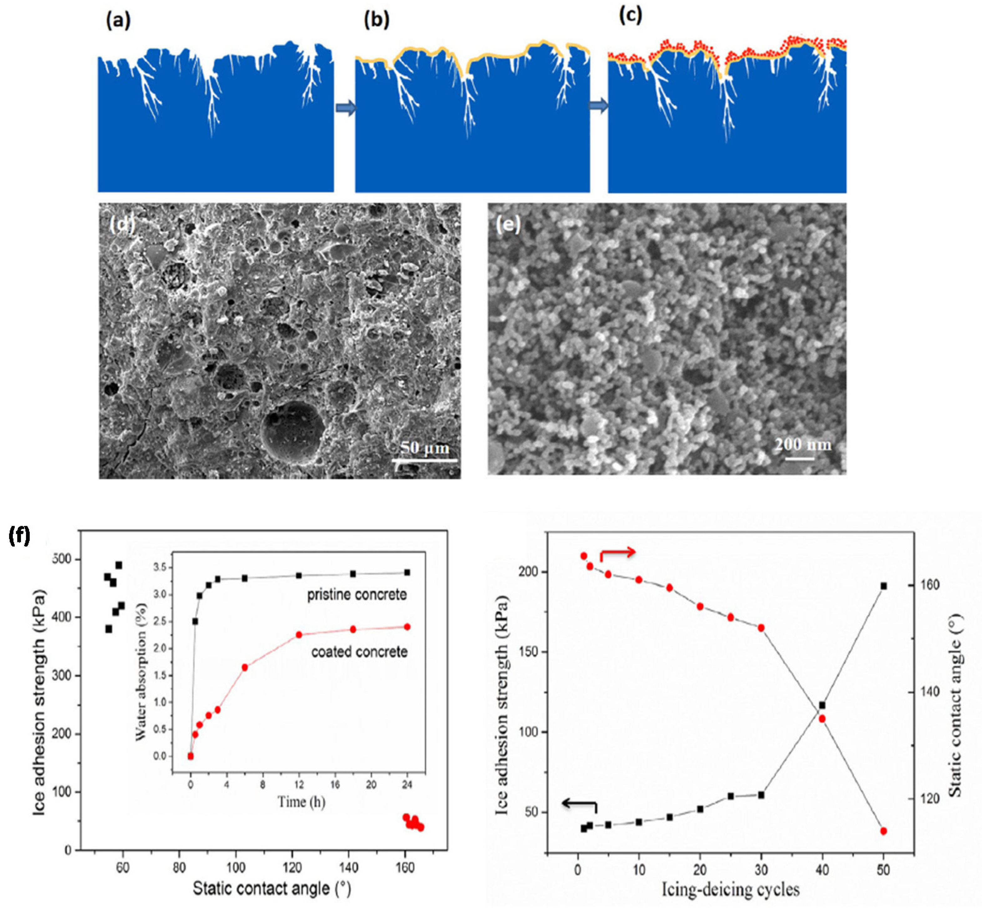 Coatings 10 00449 g016