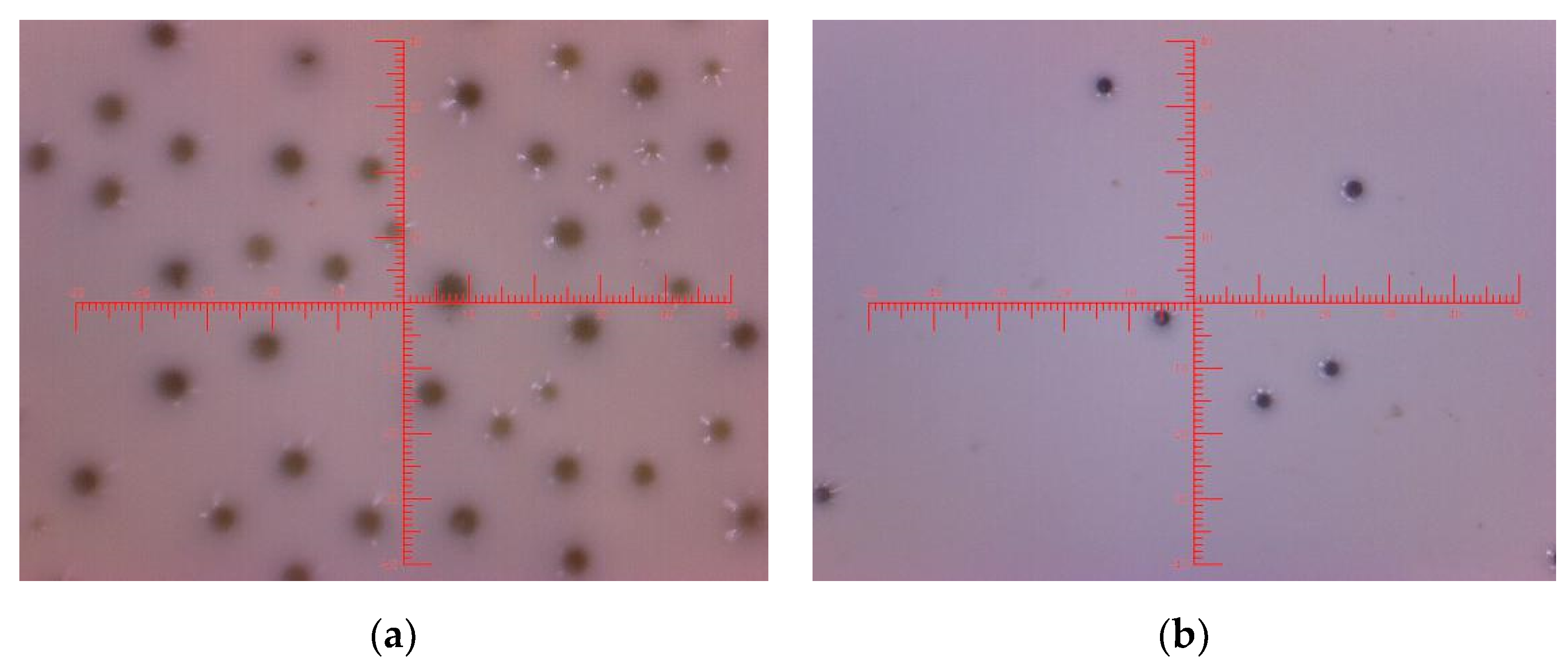 Coatings 10 00461 g005