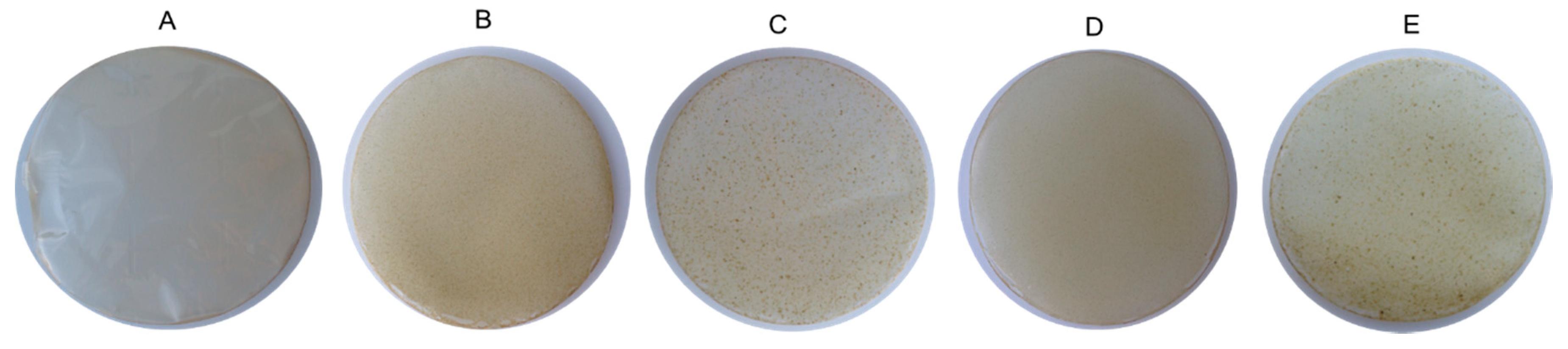 Coatings 10 00467 g001 Coatings 10 00467 g001