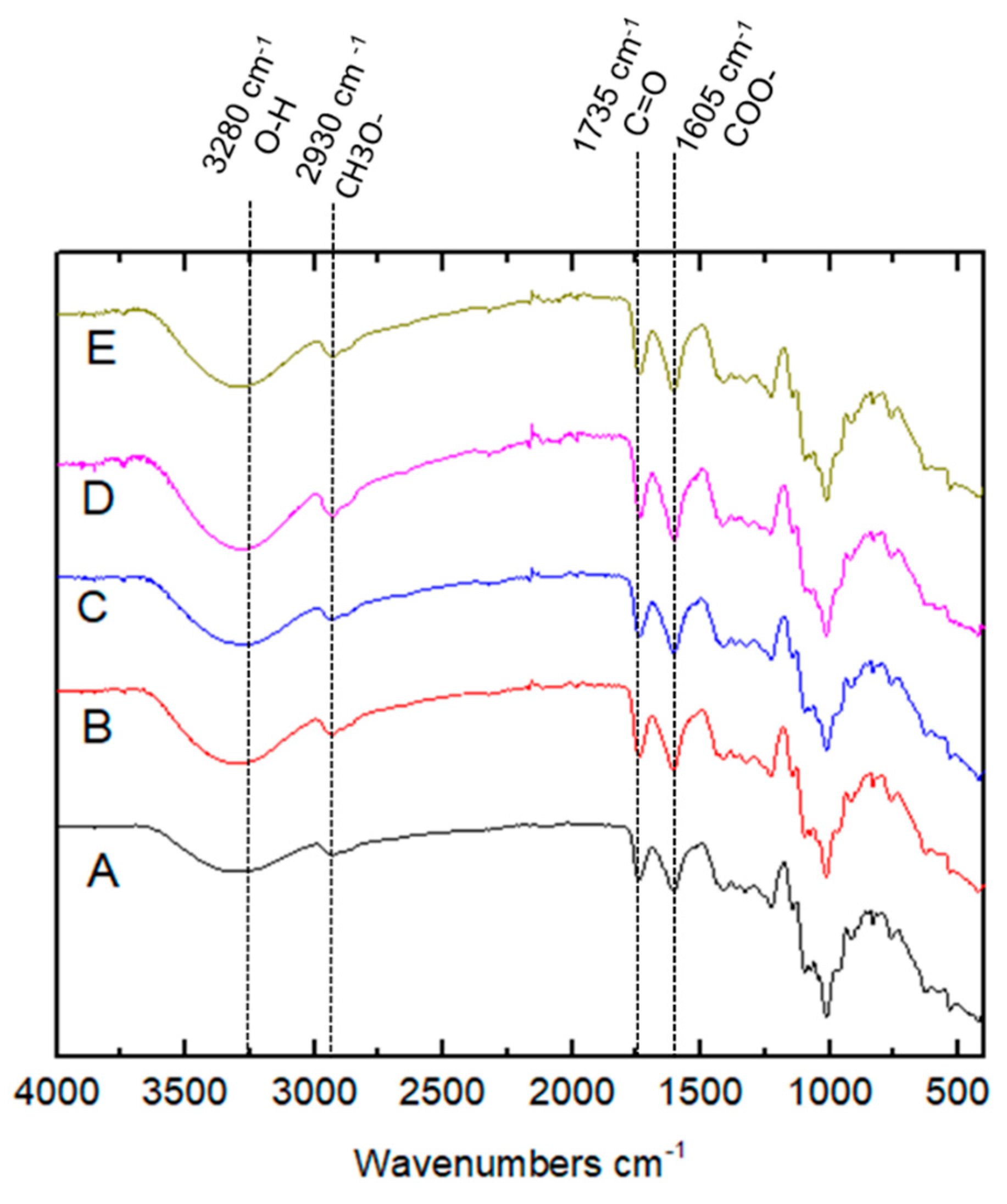 Coatings 10 00467 g004 Coatings 10 00467 g004