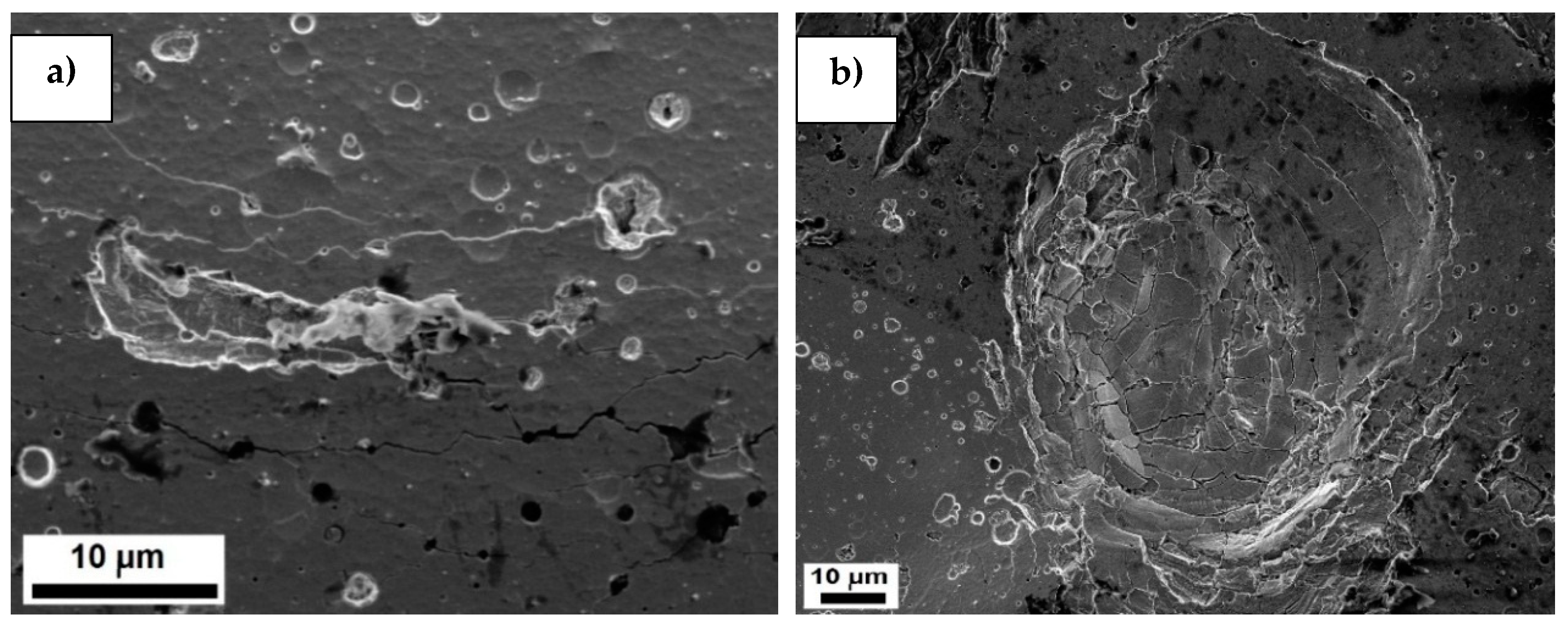 Coatings 10 00487 g006