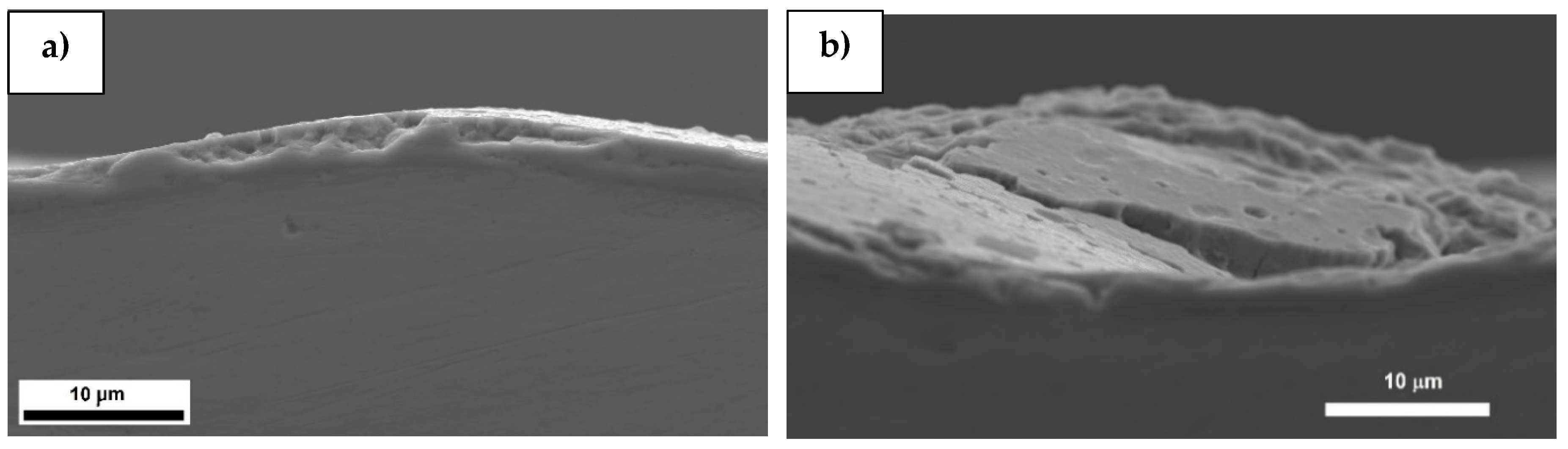 Coatings 10 00487 g007