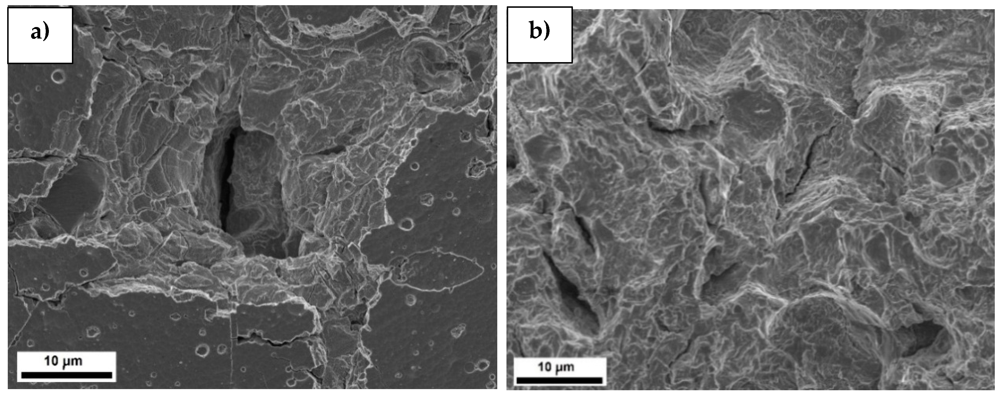 Coatings 10 00487 g008