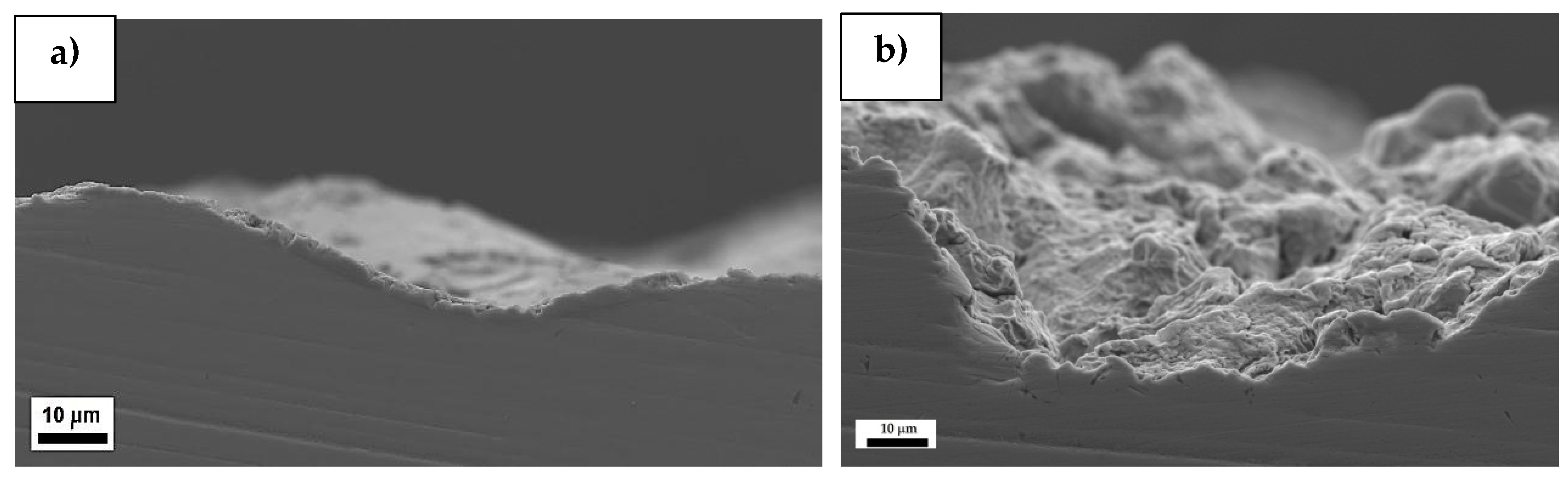 Coatings 10 00487 g009