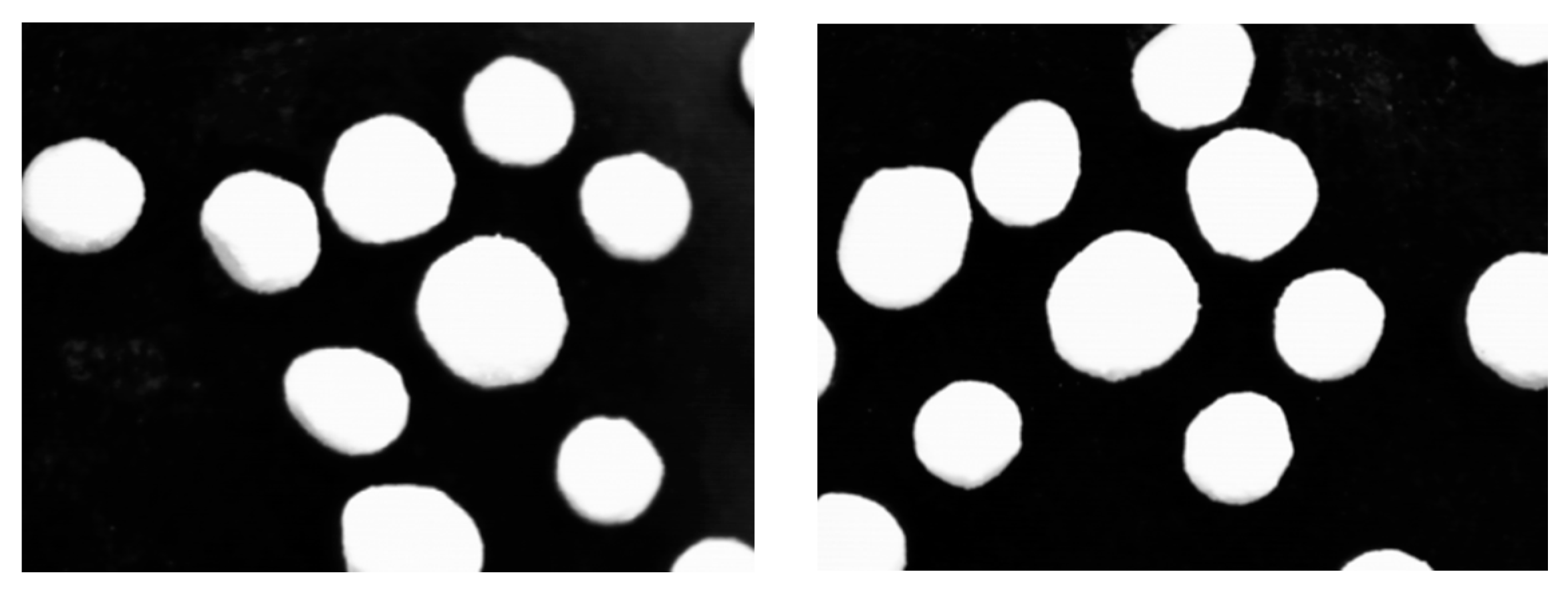 Coatings 10 00490 g001