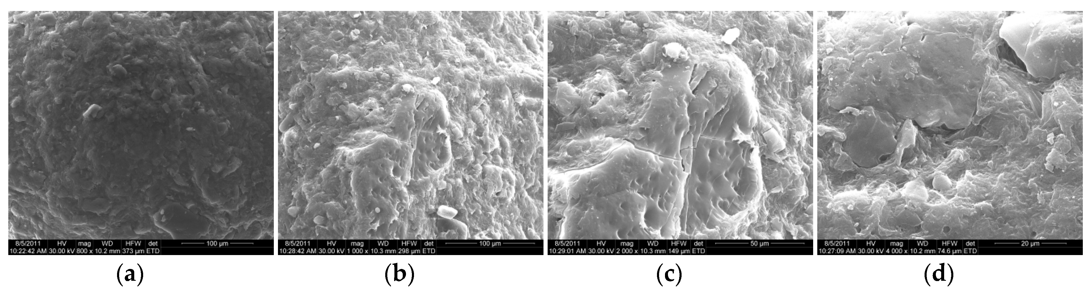 Coatings 10 00490 g002