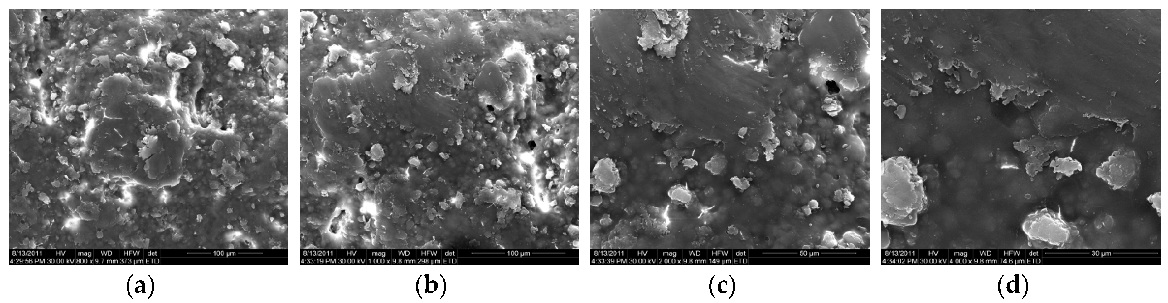 Coatings 10 00490 g003