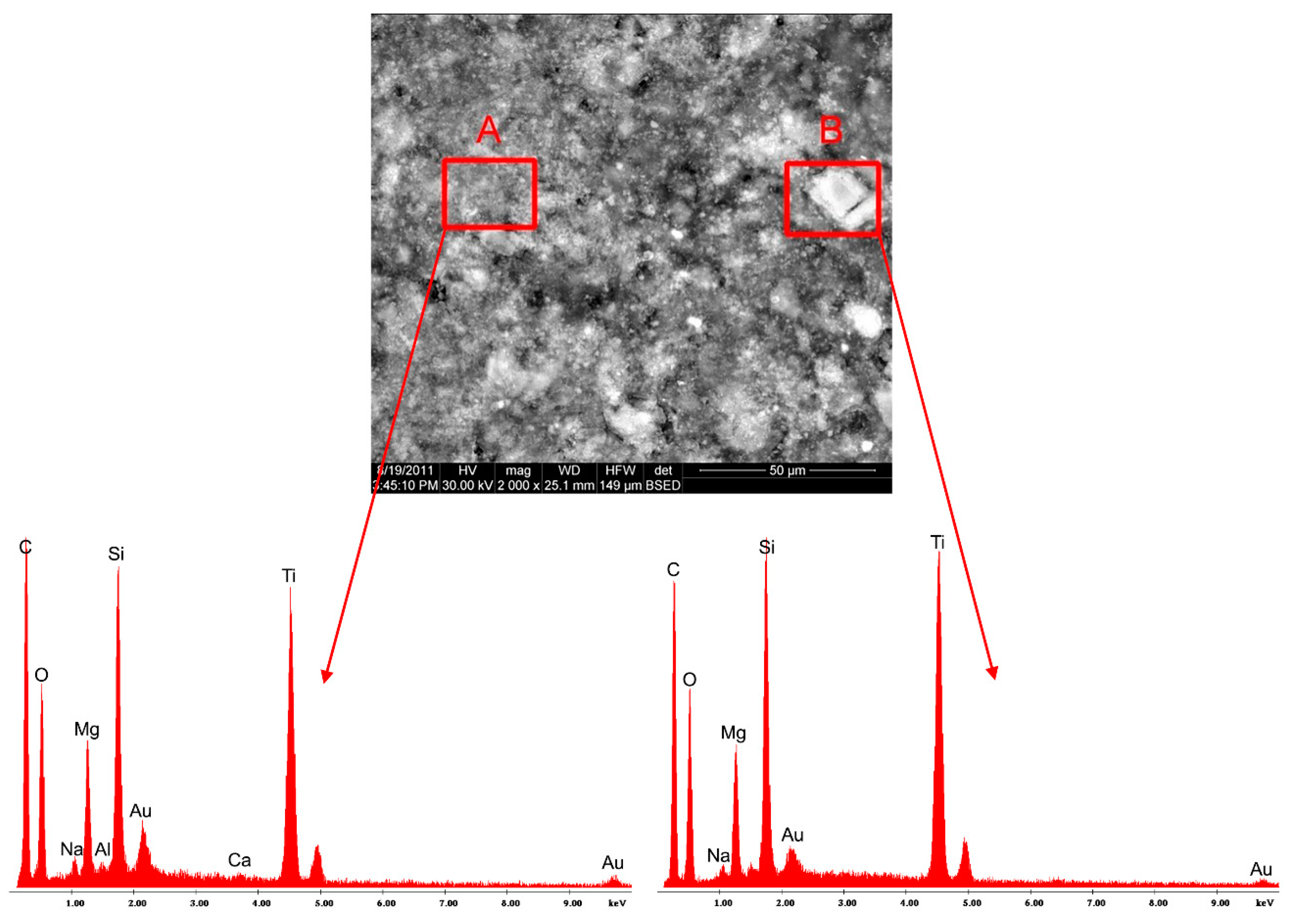 Coatings 10 00490 g006