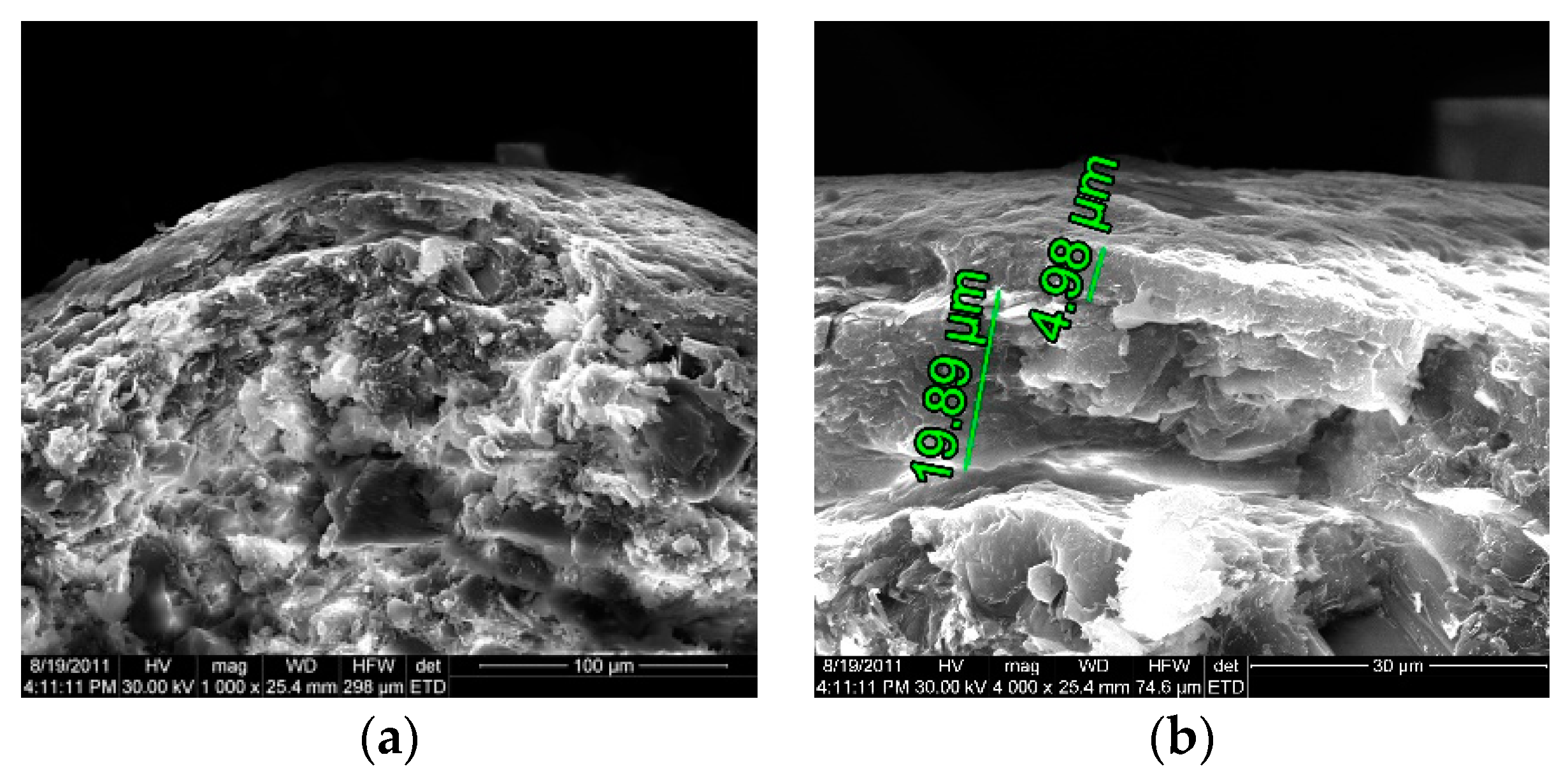 Coatings 10 00490 g007