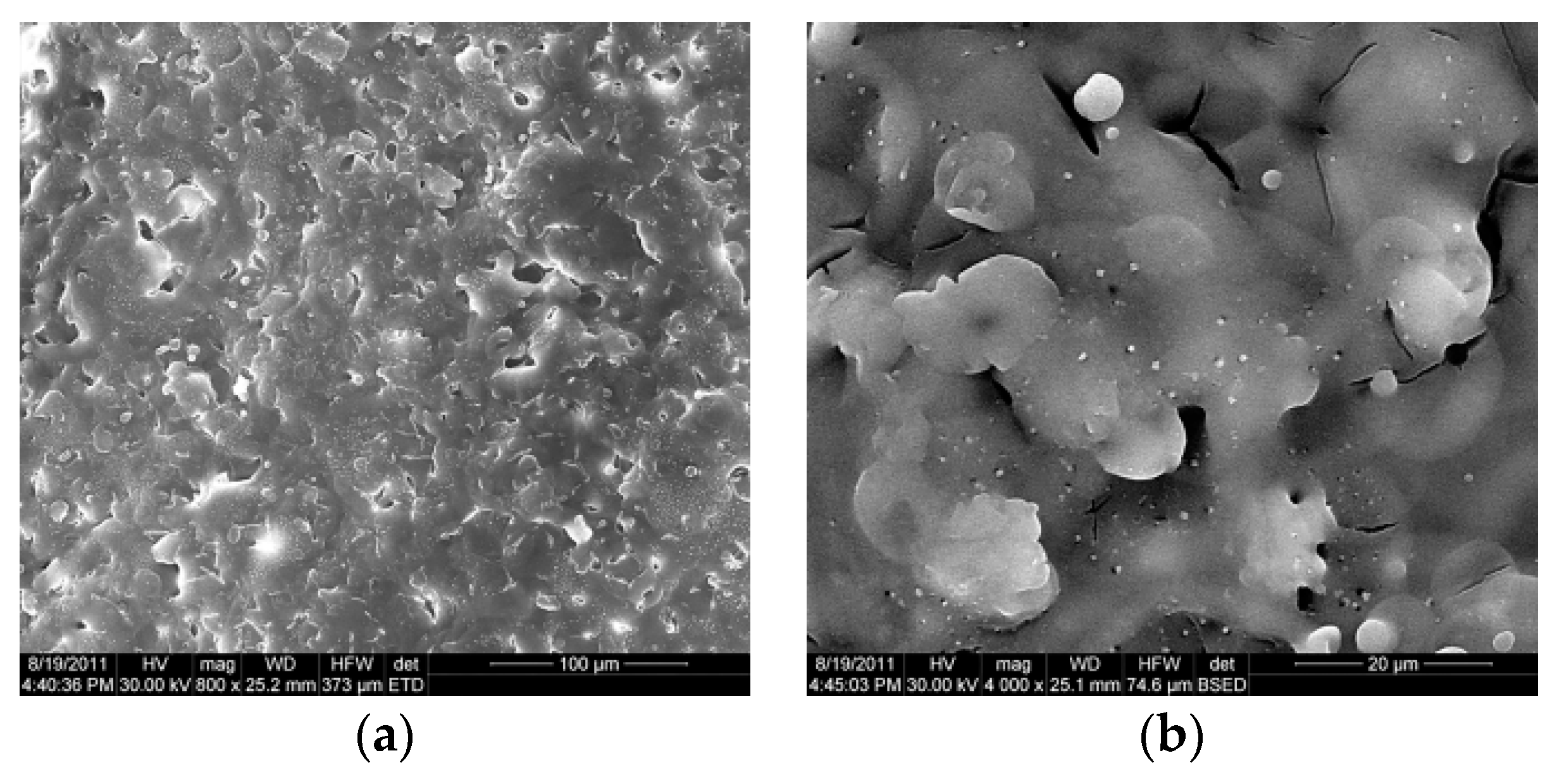 Coatings 10 00490 g009
