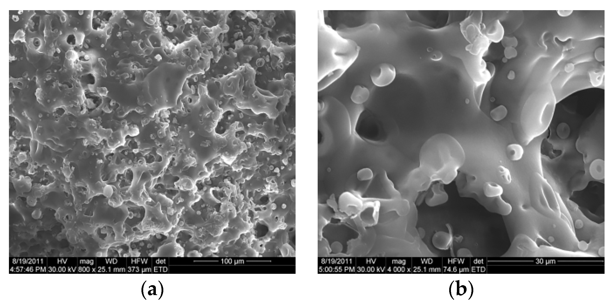 Coatings 10 00490 g011