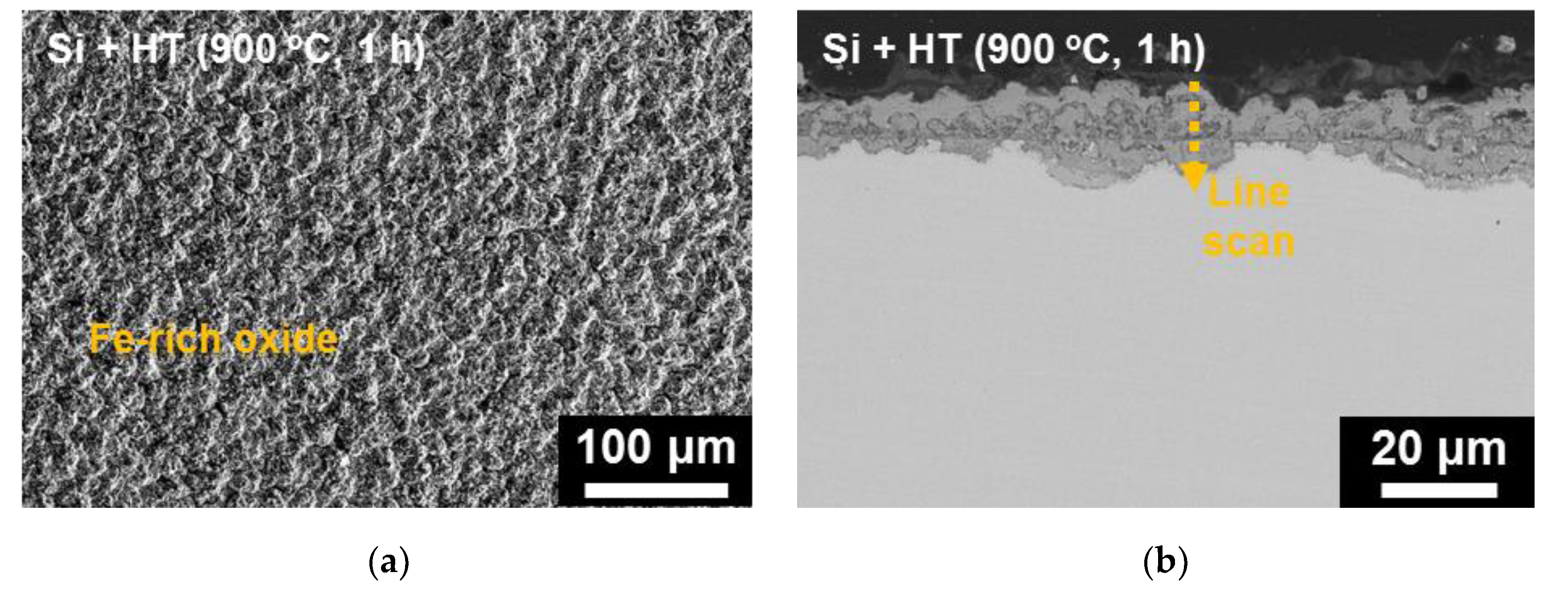 Coatings 10 00493 g009a Coatings 10 00493 g009a