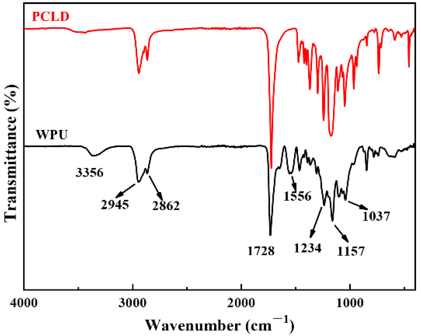 Coatings 10 00494 g001