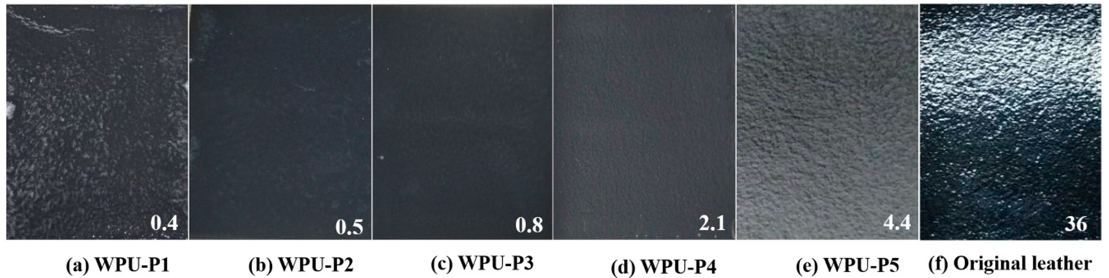 Coatings 10 00494 g012