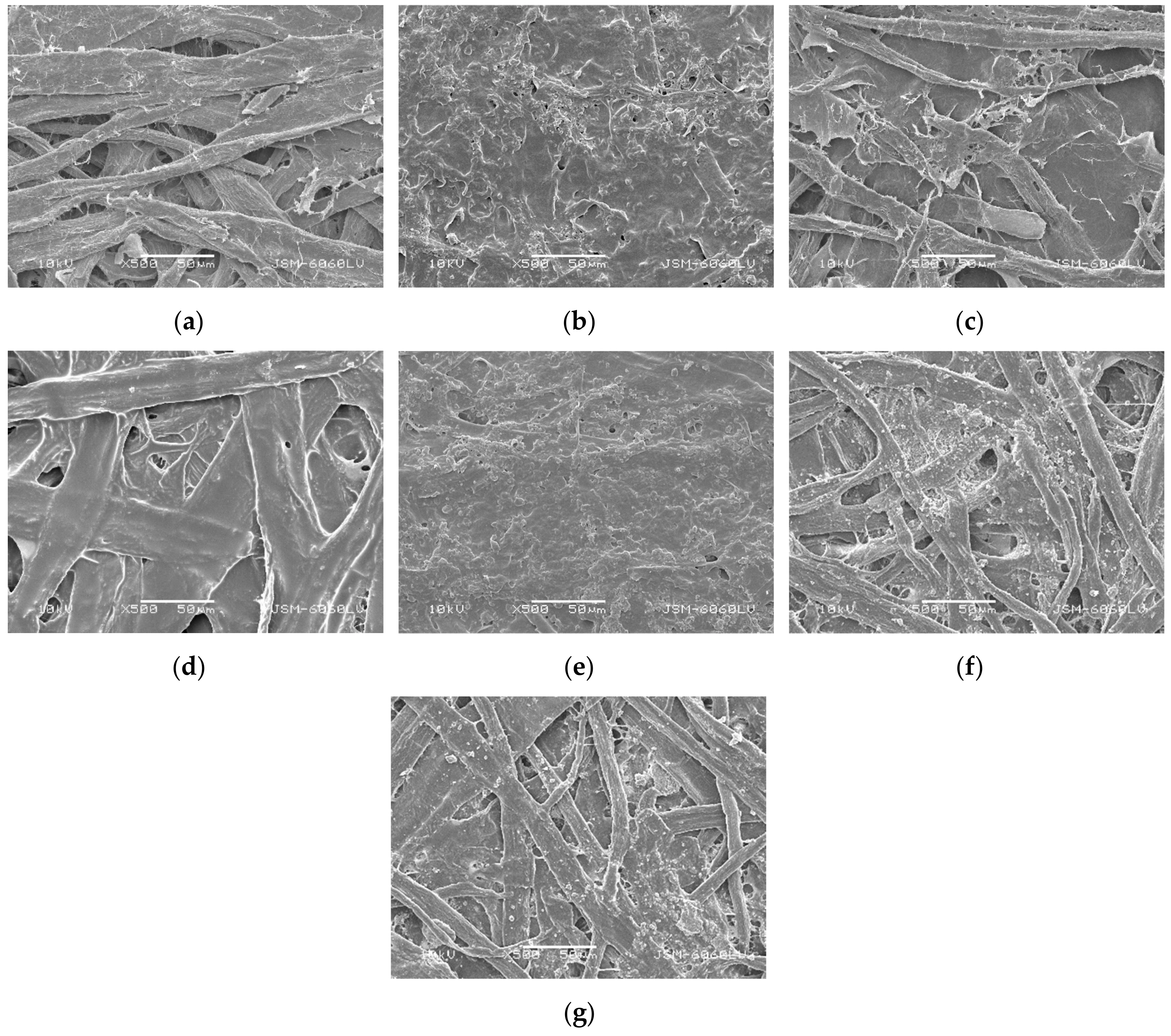 Coatings 10 00497 g006 Coatings 10 00497 g006