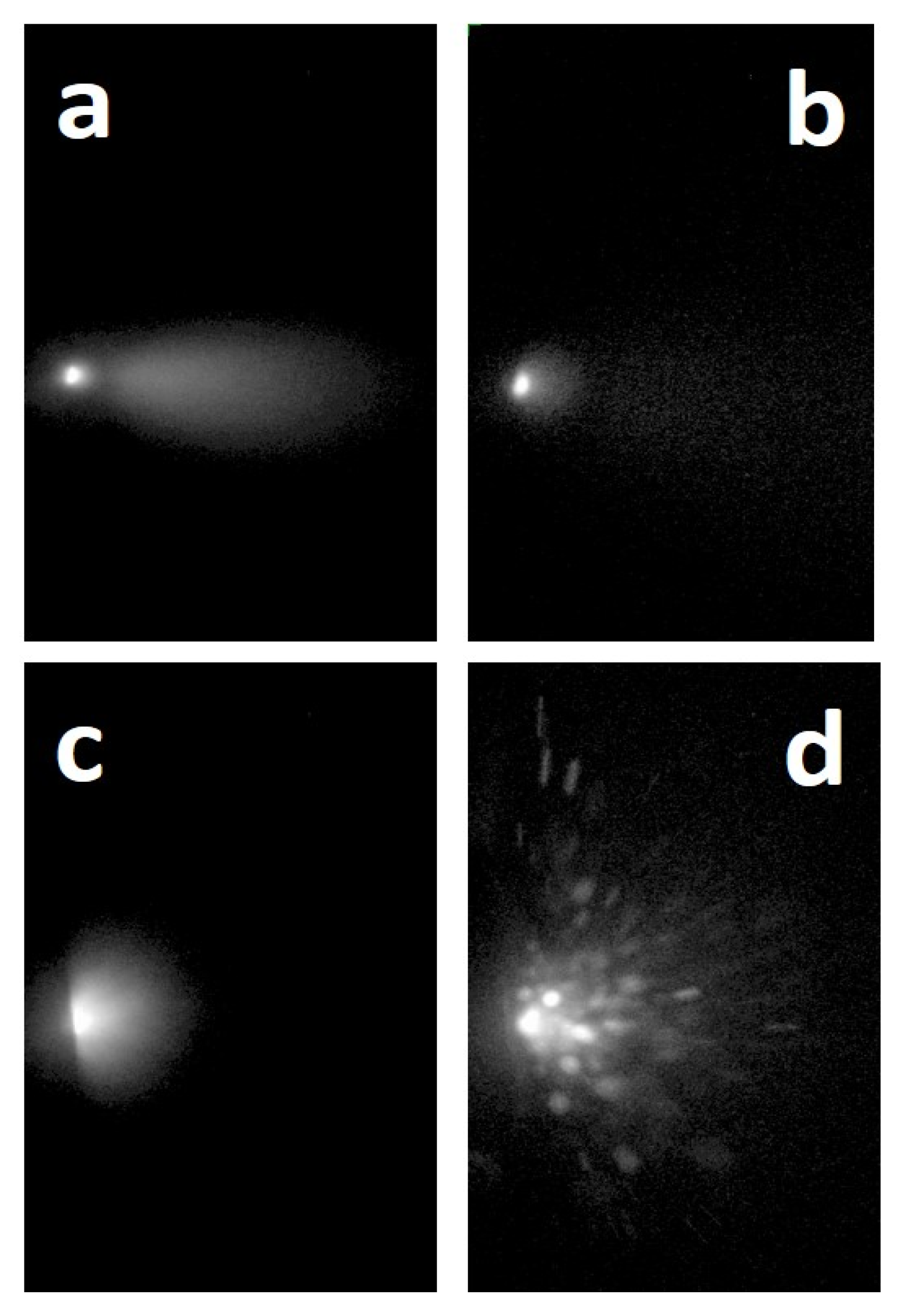 Coatings 10 00501 g002