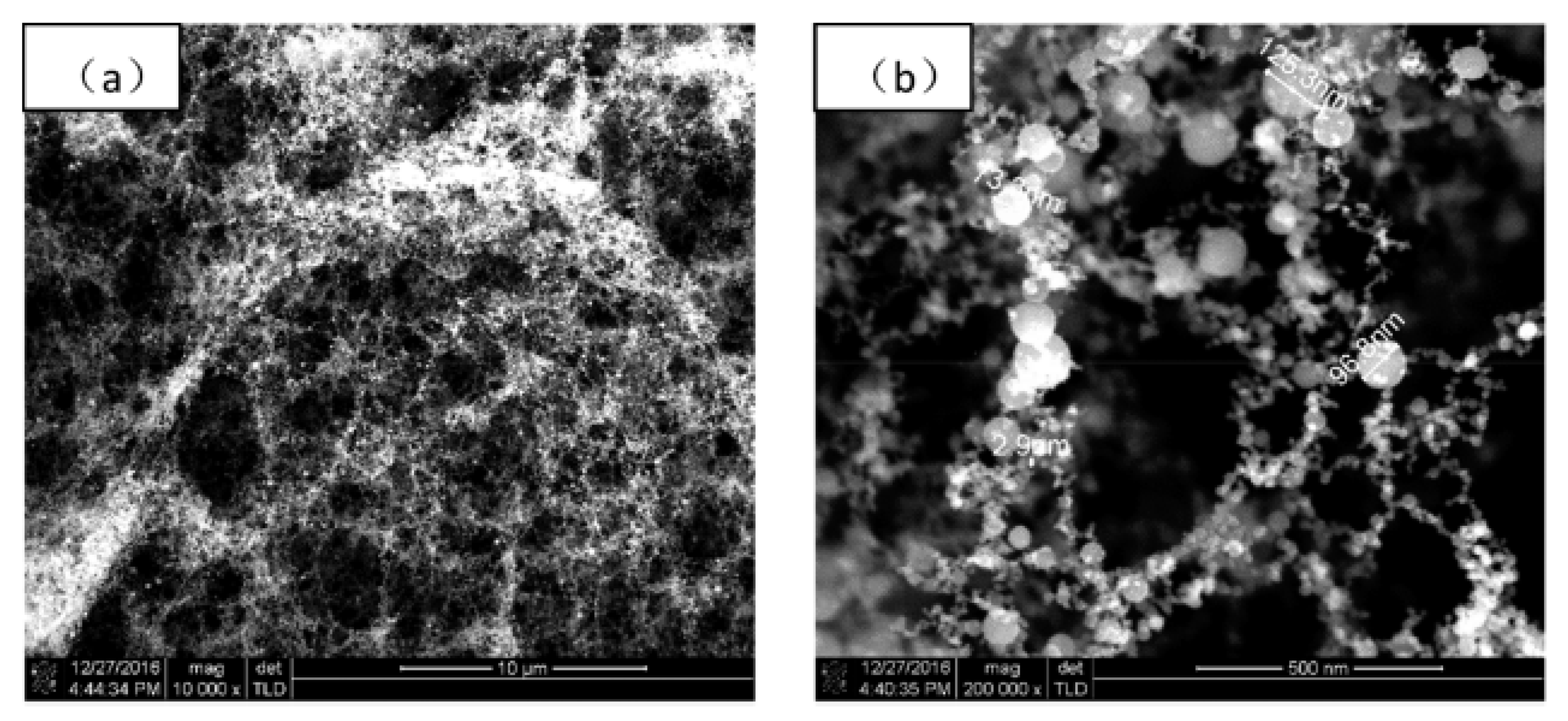 Coatings 10 00501 g003