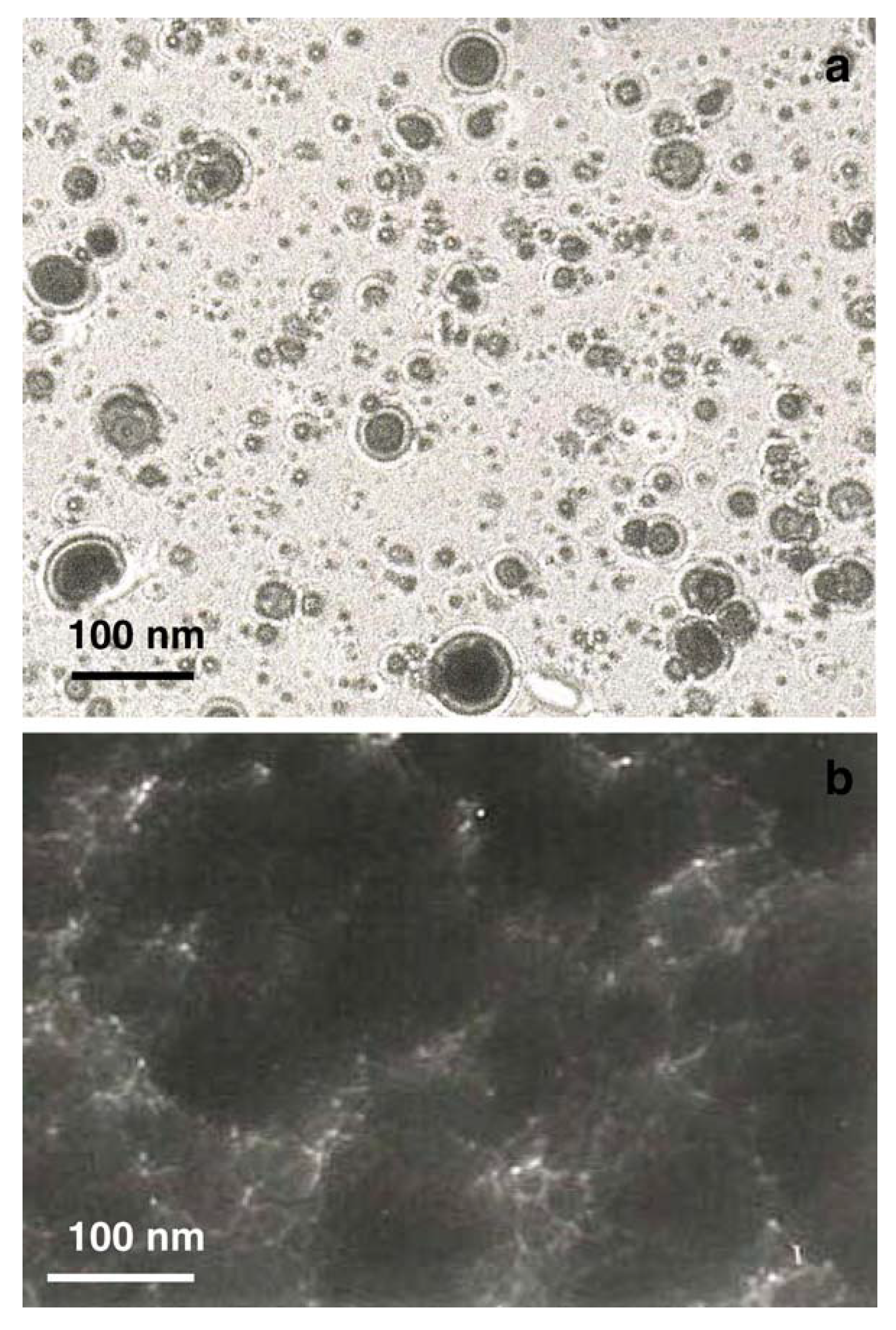 Coatings 10 00501 g007