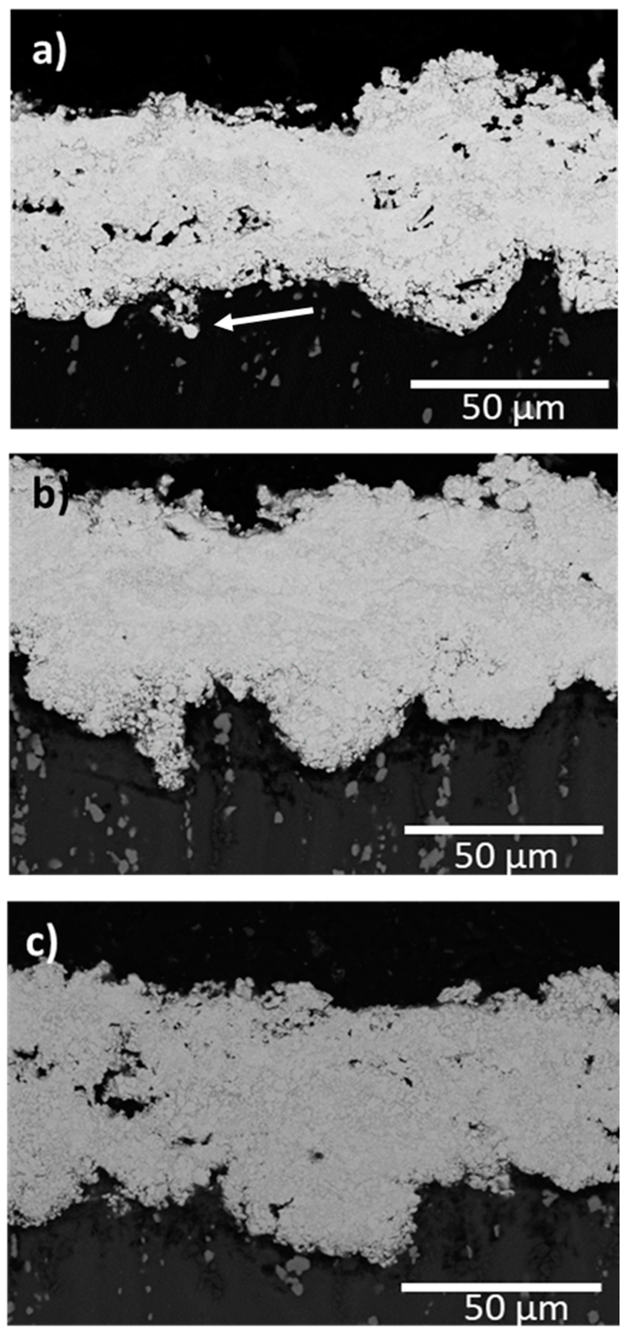 Coatings 10 00502 g005