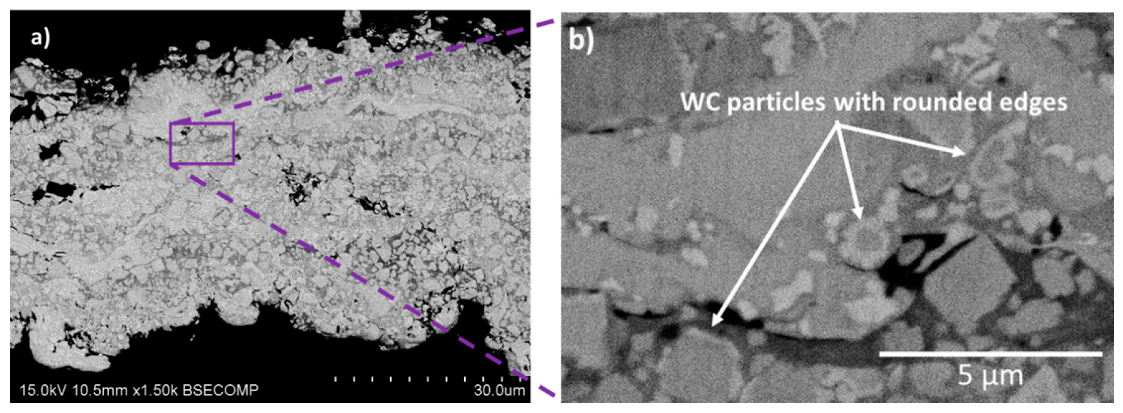 Coatings 10 00502 g006