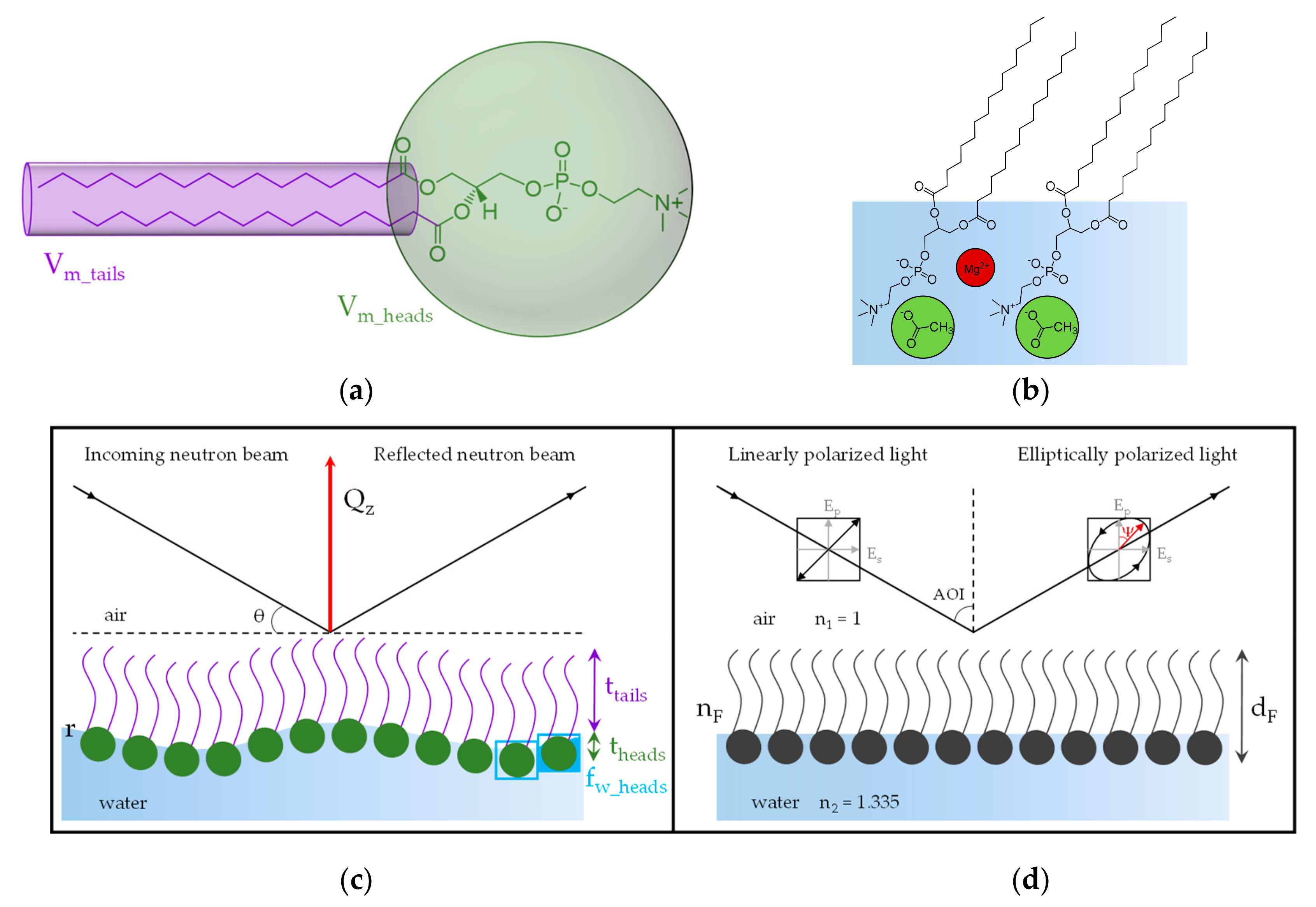 Coatings 10 00507 g001 Coatings 10 00507 g001