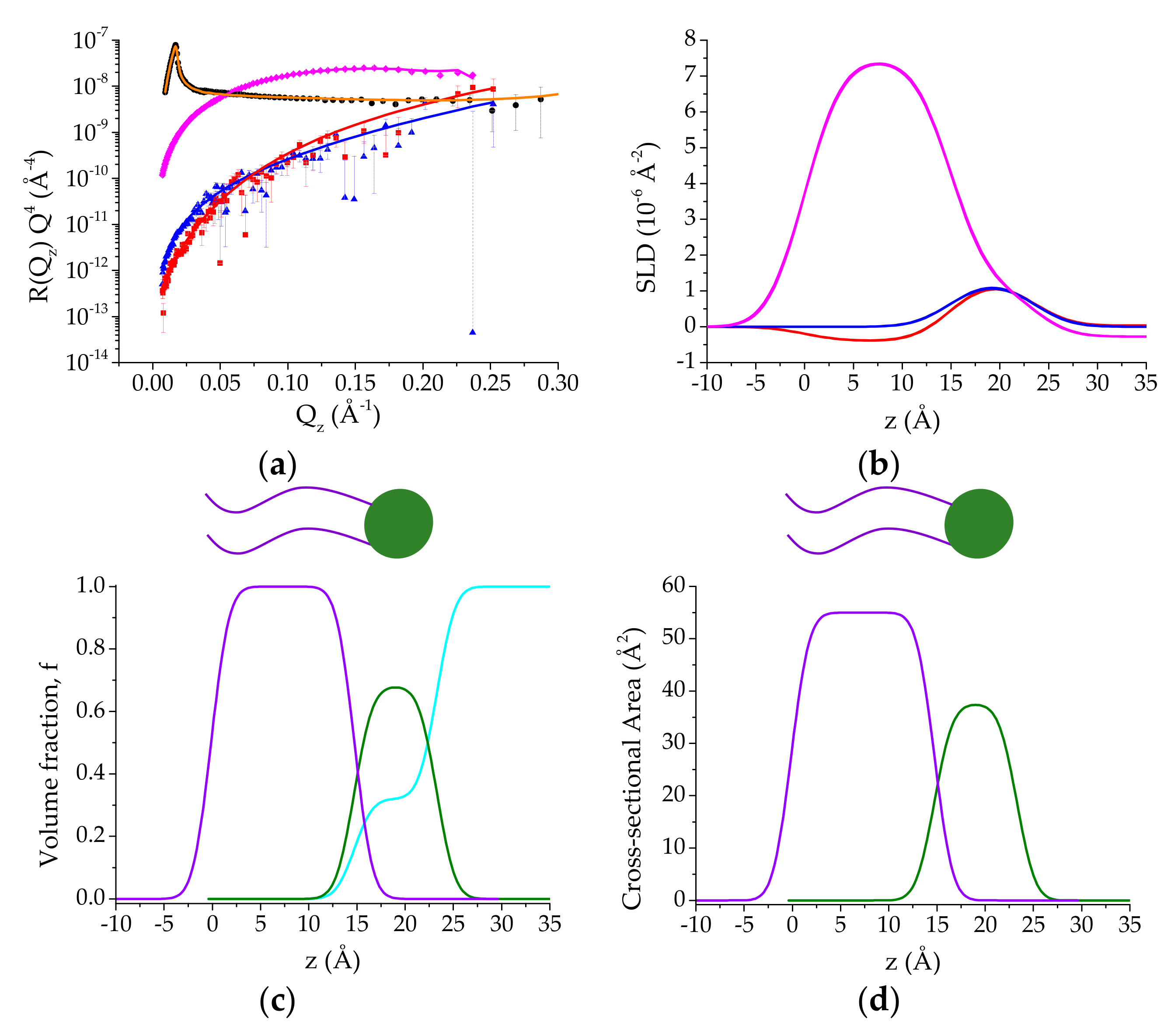Coatings 10 00507 g003 Coatings 10 00507 g003