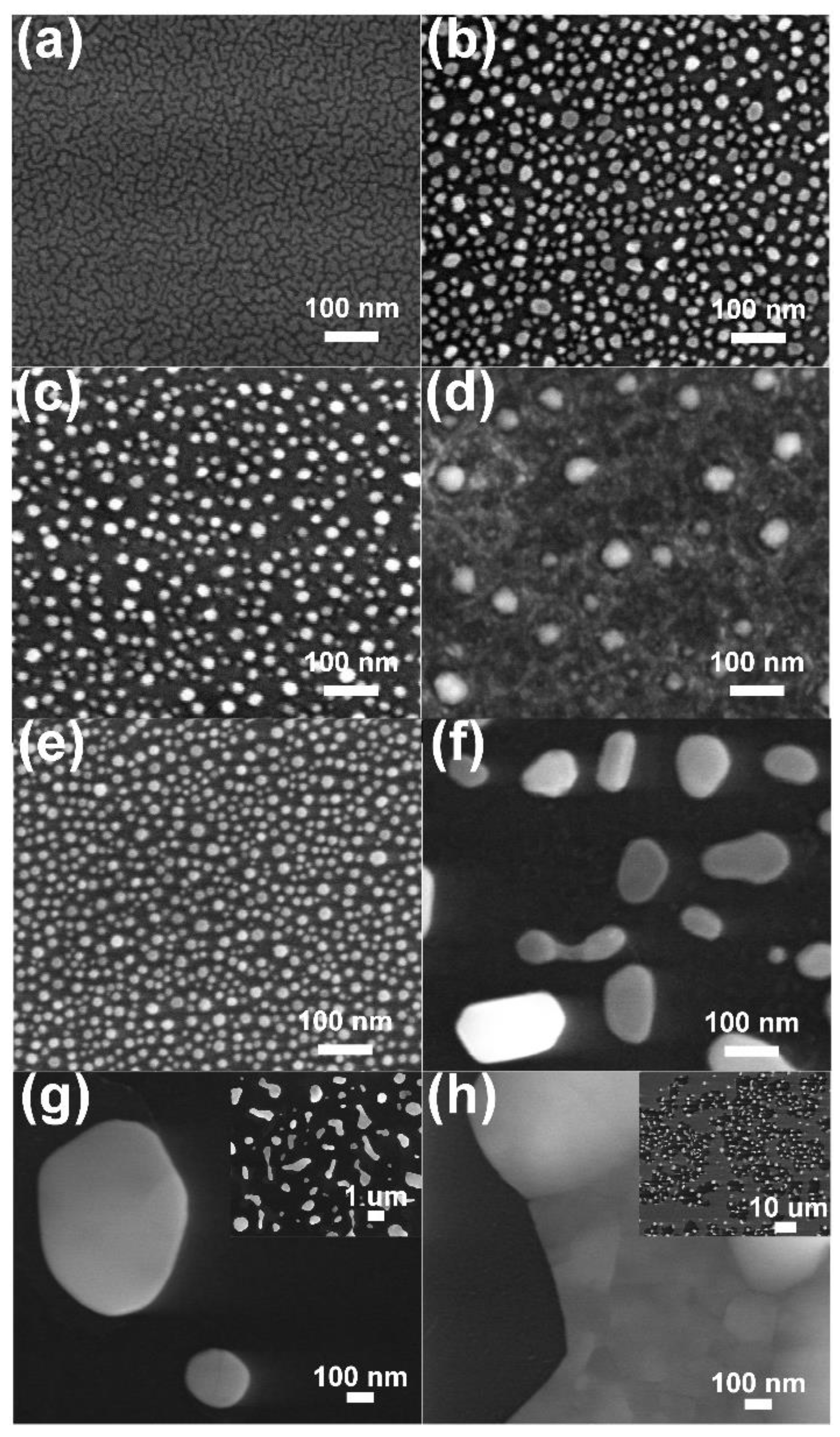 Coatings 10 00513 g002