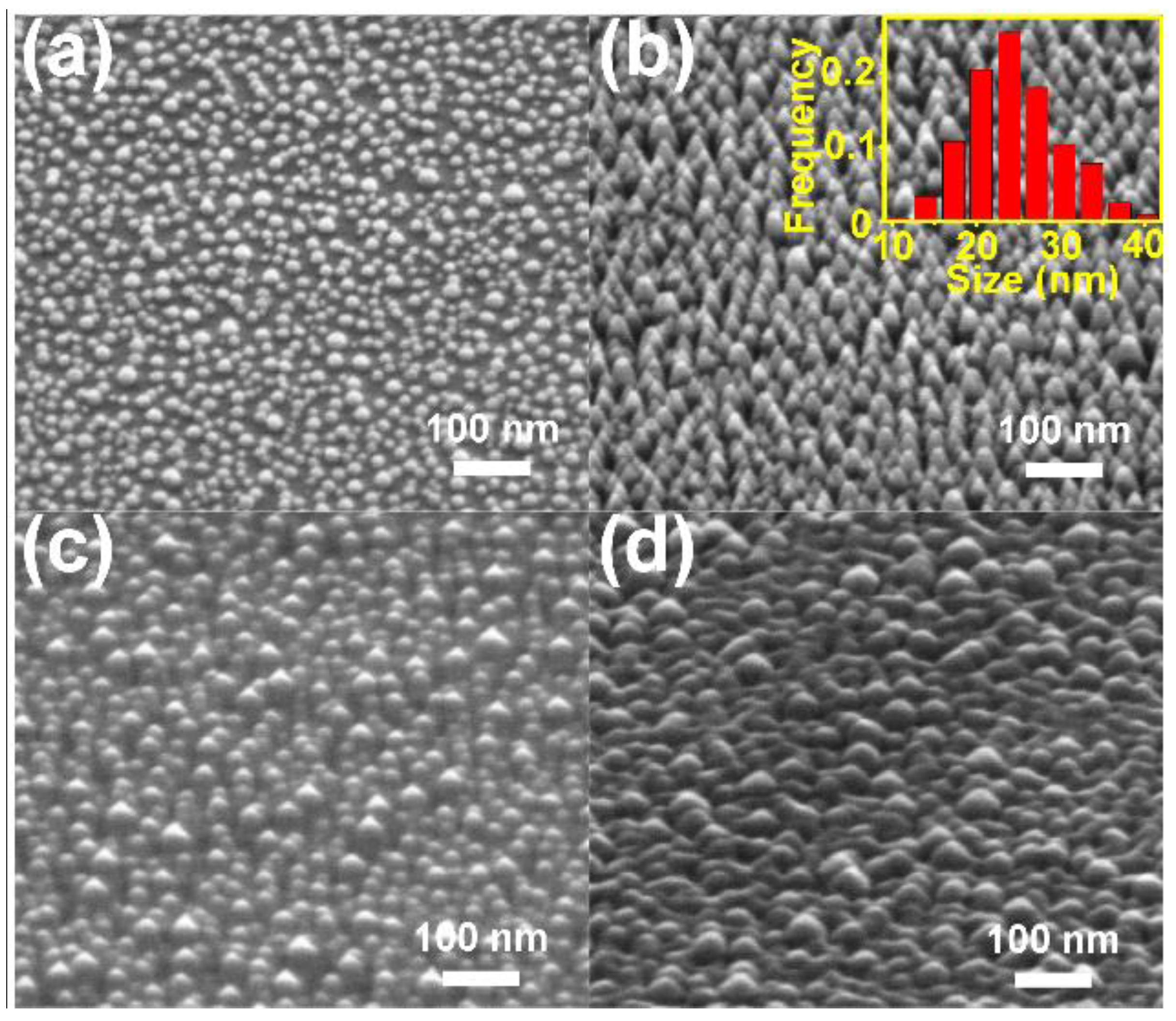 Coatings 10 00513 g003