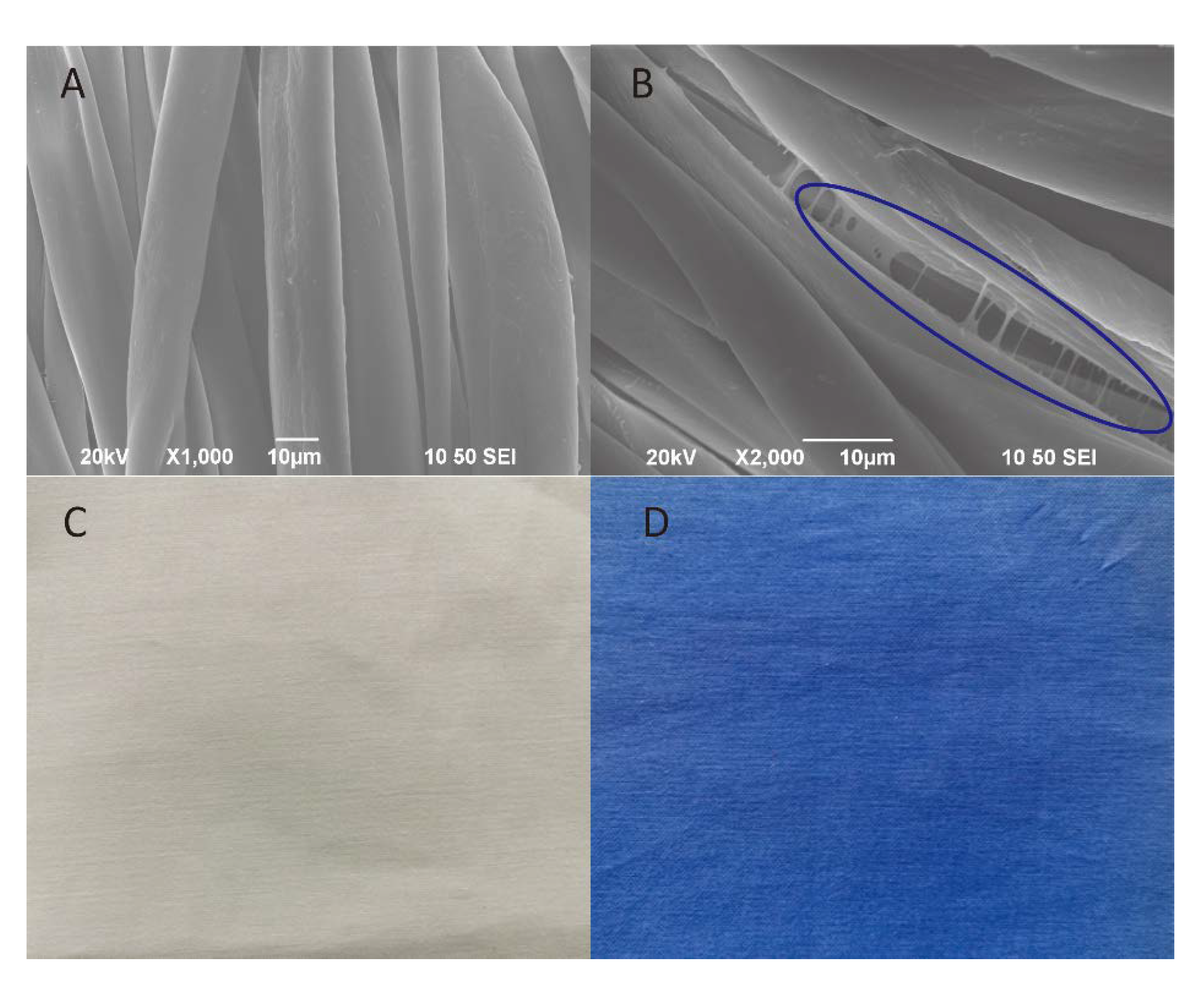 Coatings 10 00520 g002