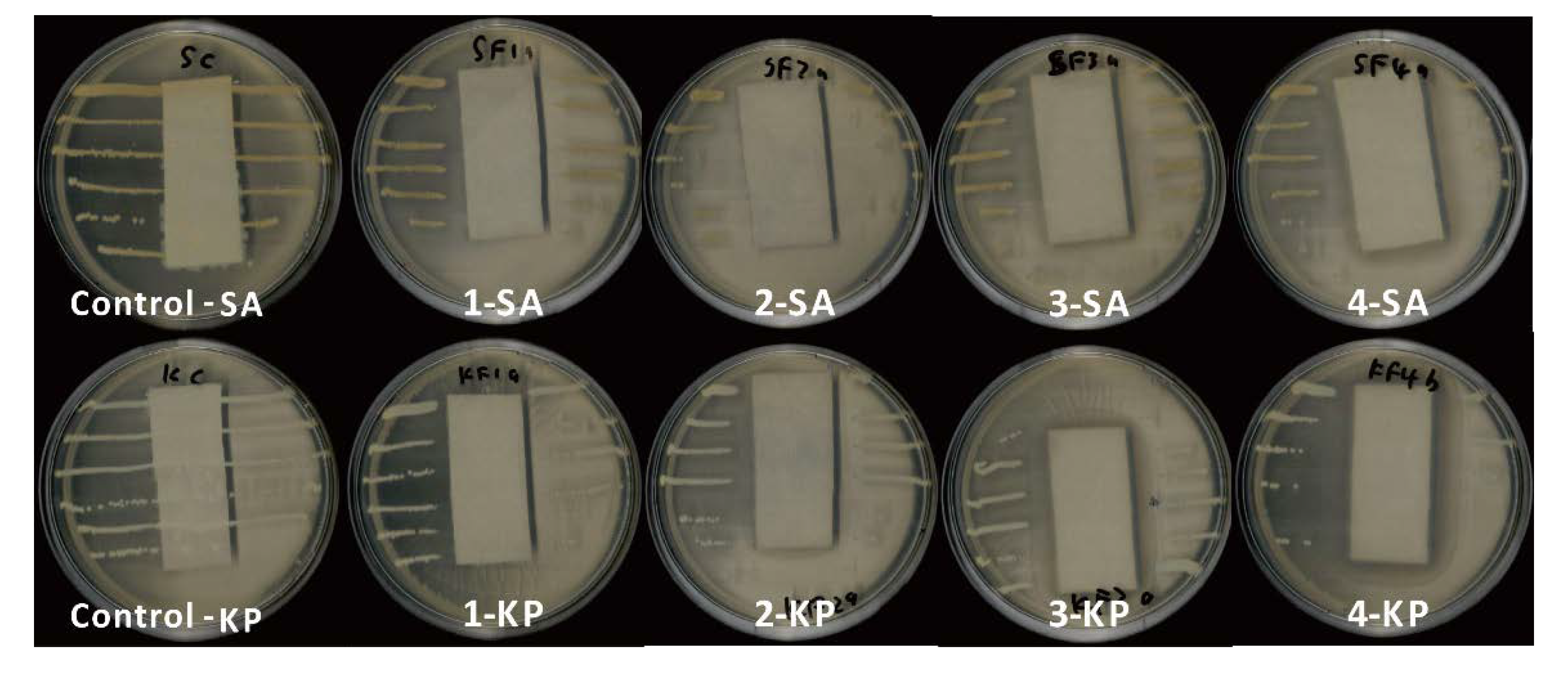 Coatings 10 00520 g004